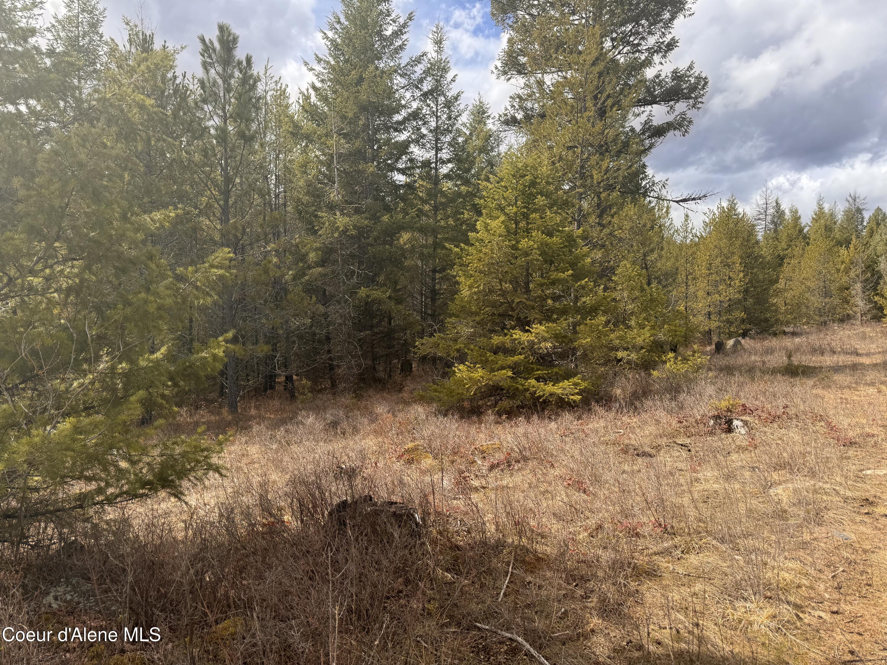NKA E Lowland Drive, Athol, West Virginia image 6