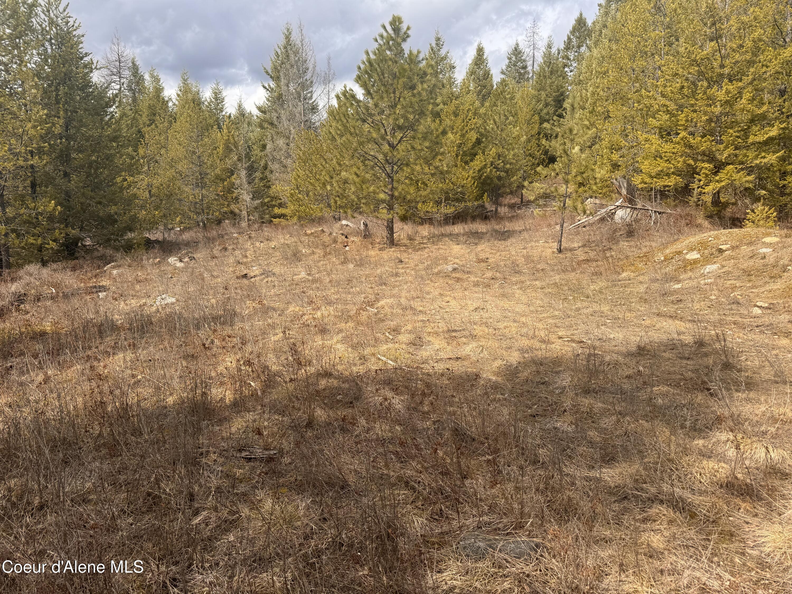 NKA E Lowland Drive, Athol, West Virginia image 4