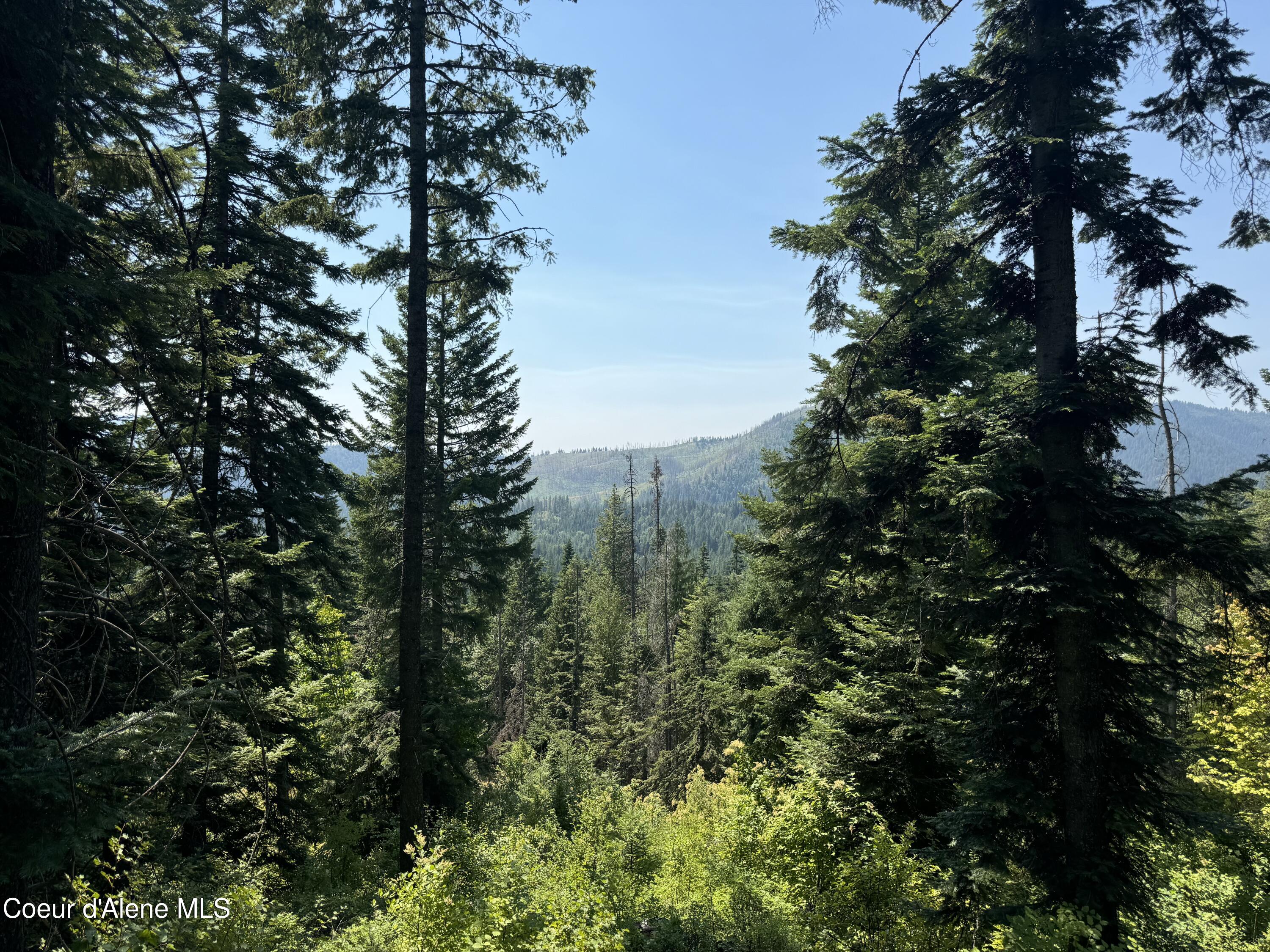 441 Usfs 984, Priest River, Idaho image 6