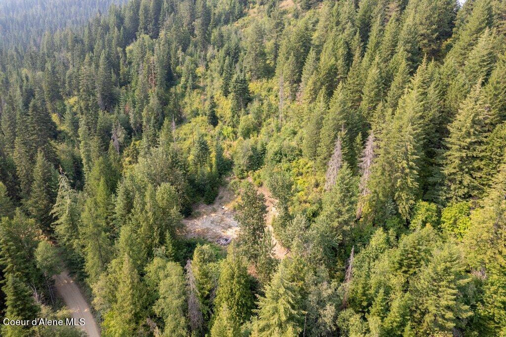 441 Usfs 984, Priest River, Idaho image 15