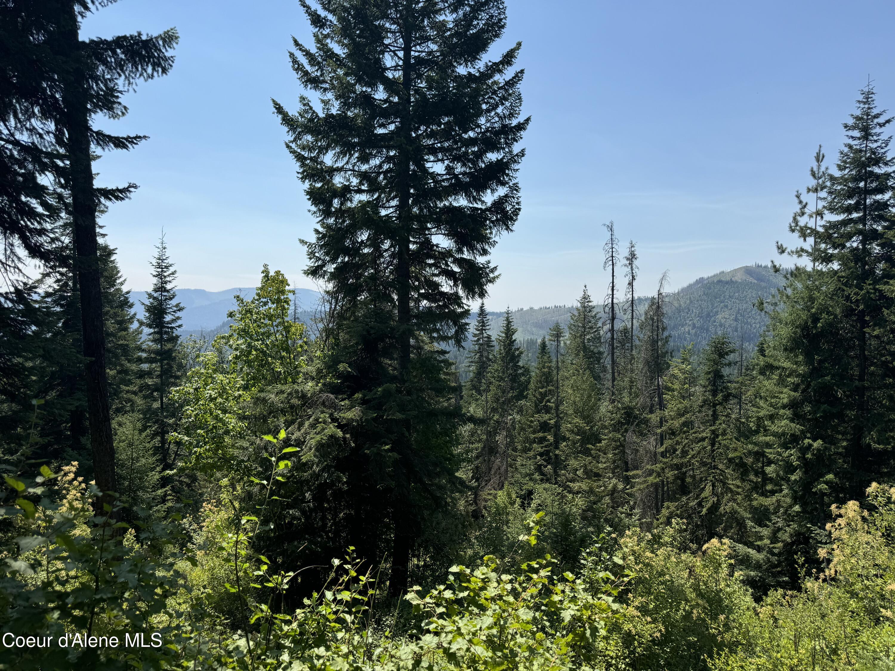 441 Usfs 984, Priest River, Idaho image 5