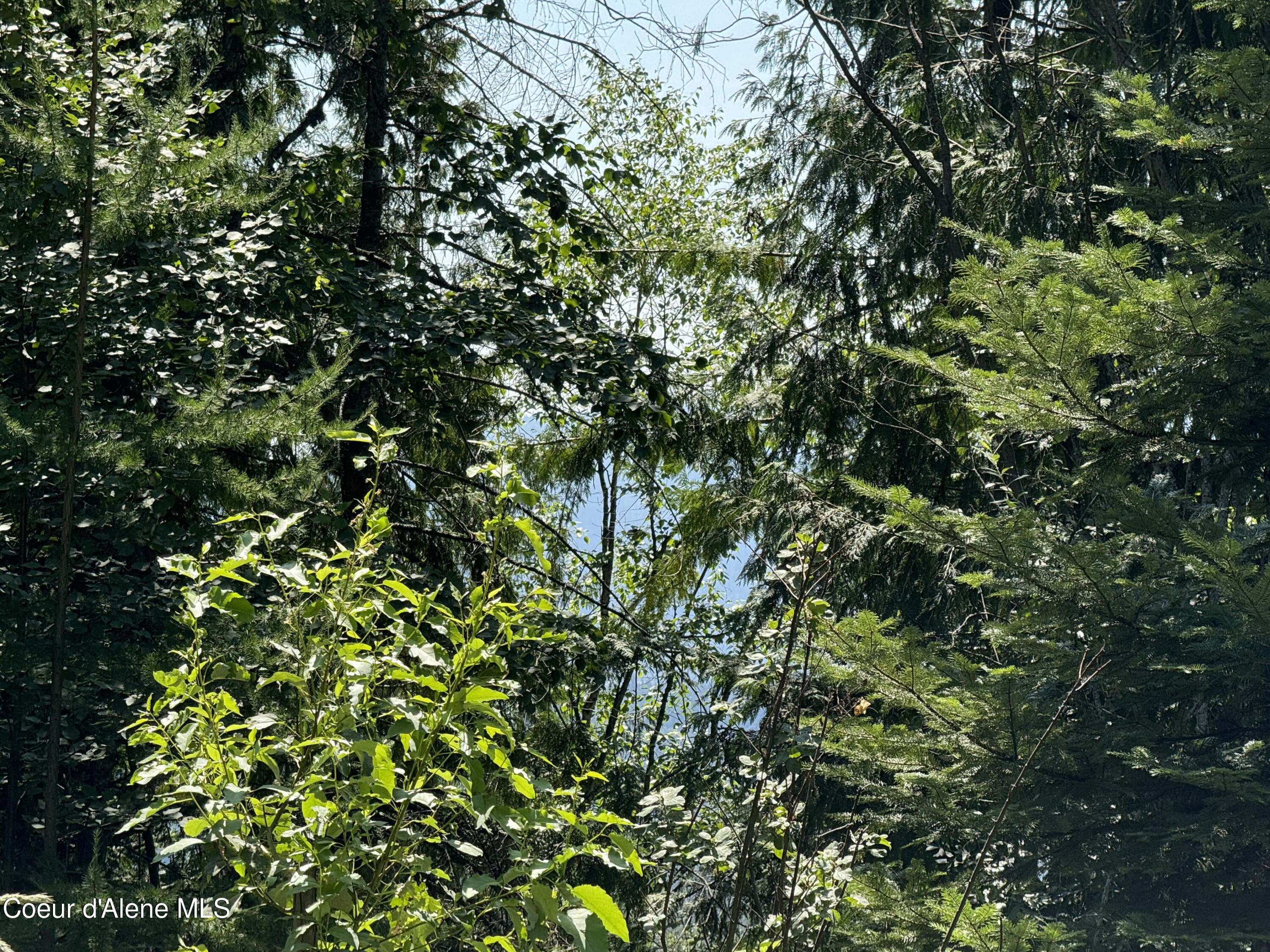 441 Usfs 984, Priest River, Idaho image 8