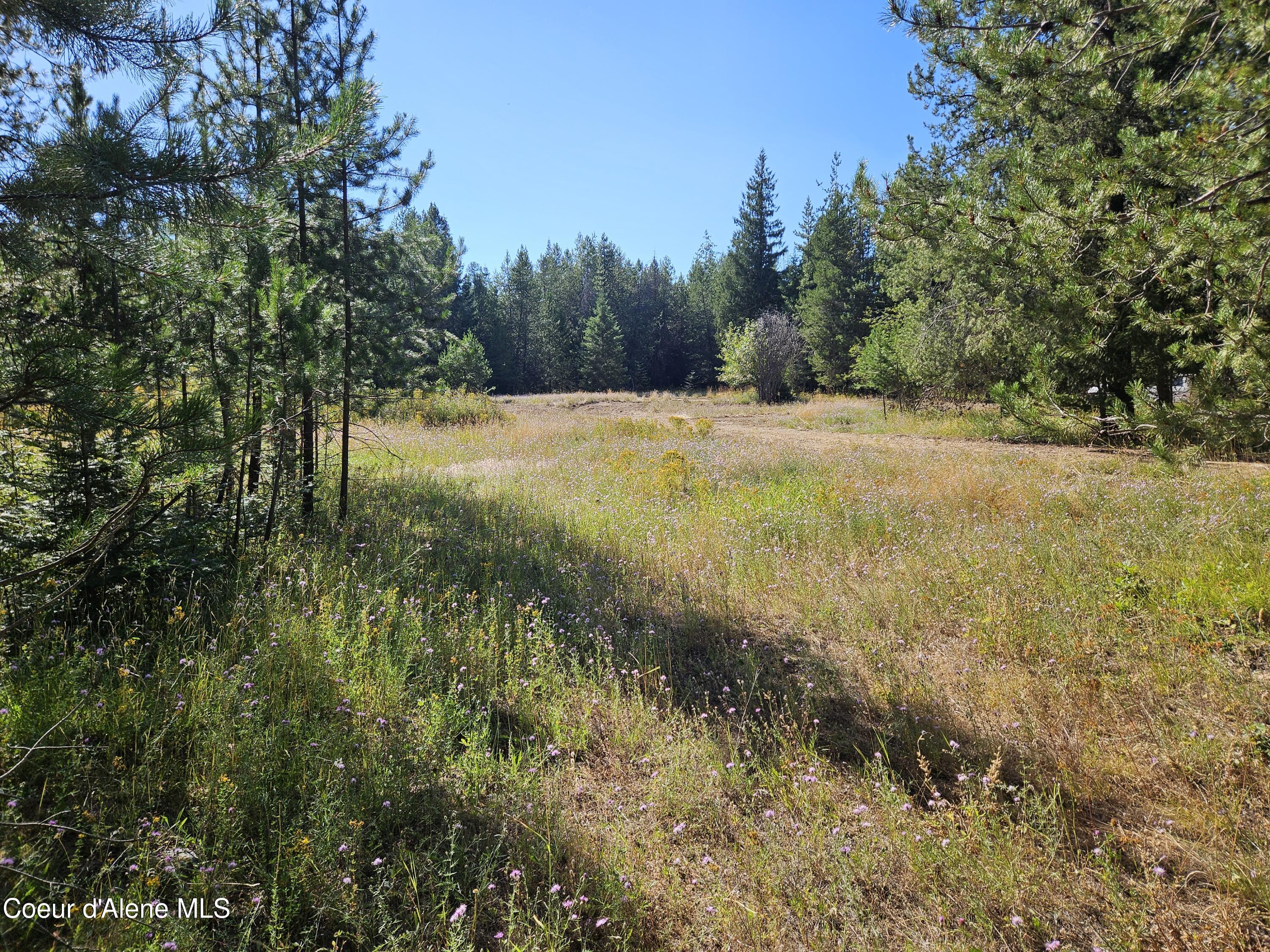 62 Westley Ln, Priest River, Idaho image 6