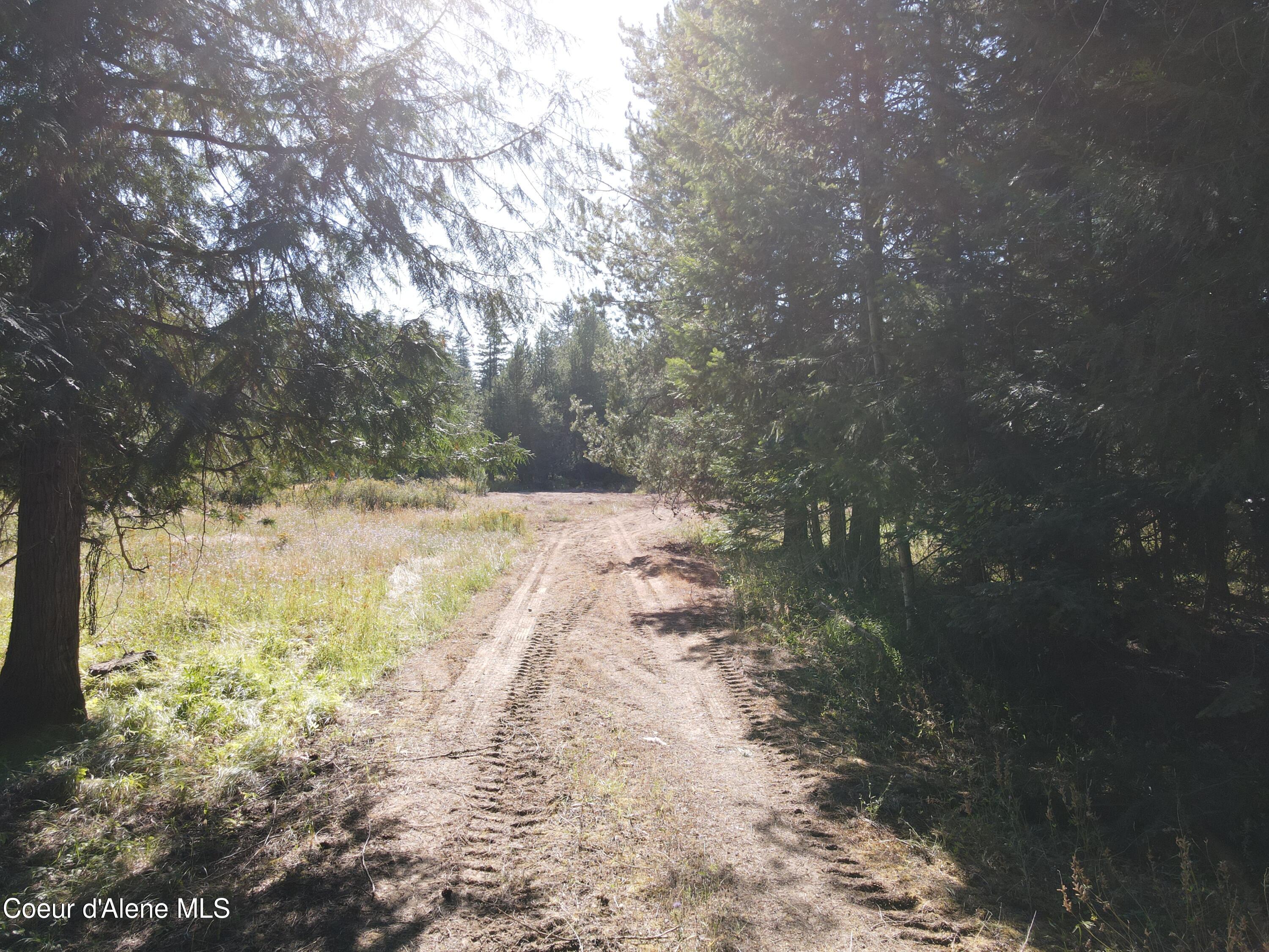 62 Westley Ln, Priest River, Idaho image 4