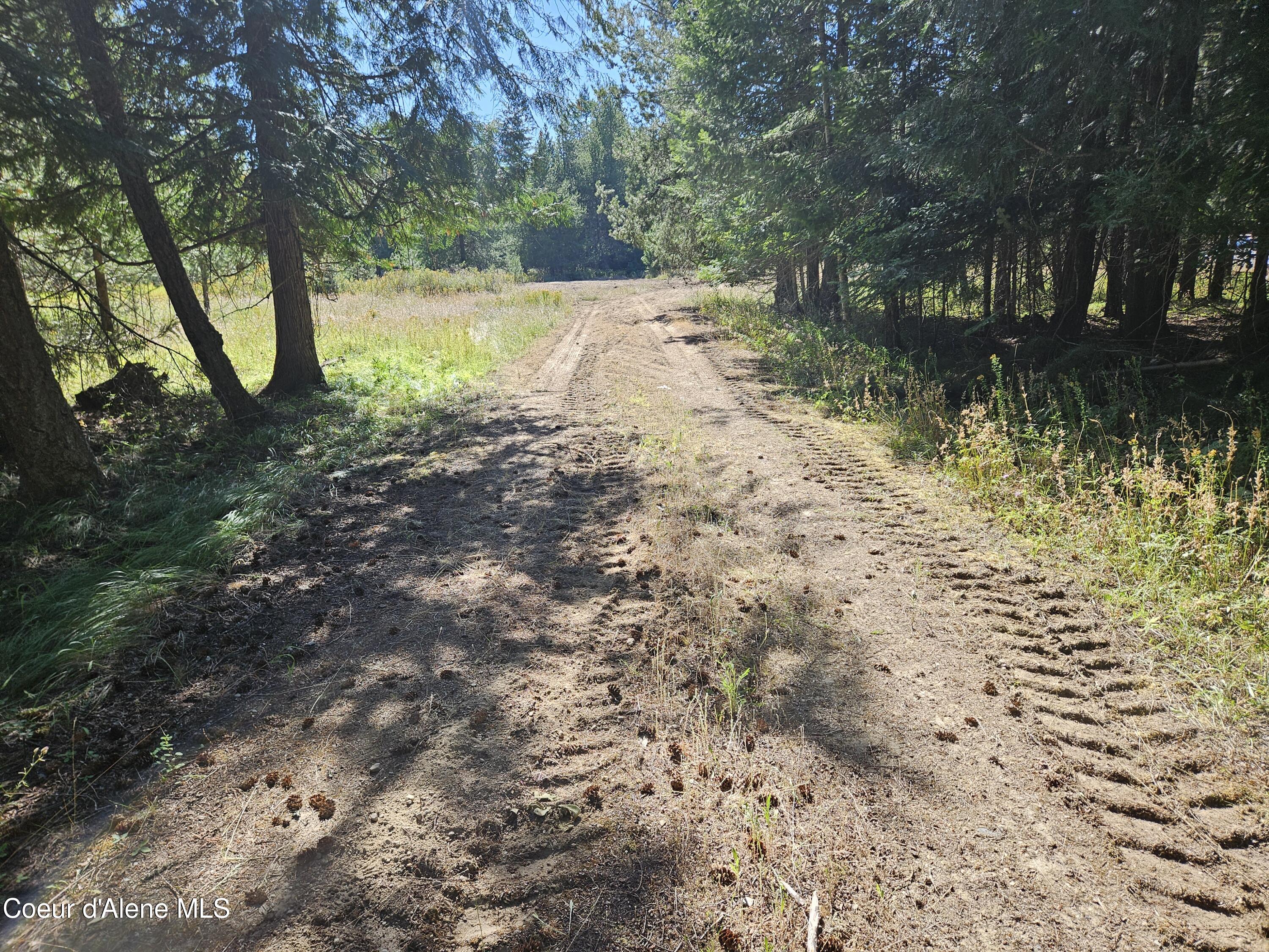 62 Westley Ln, Priest River, Idaho image 3