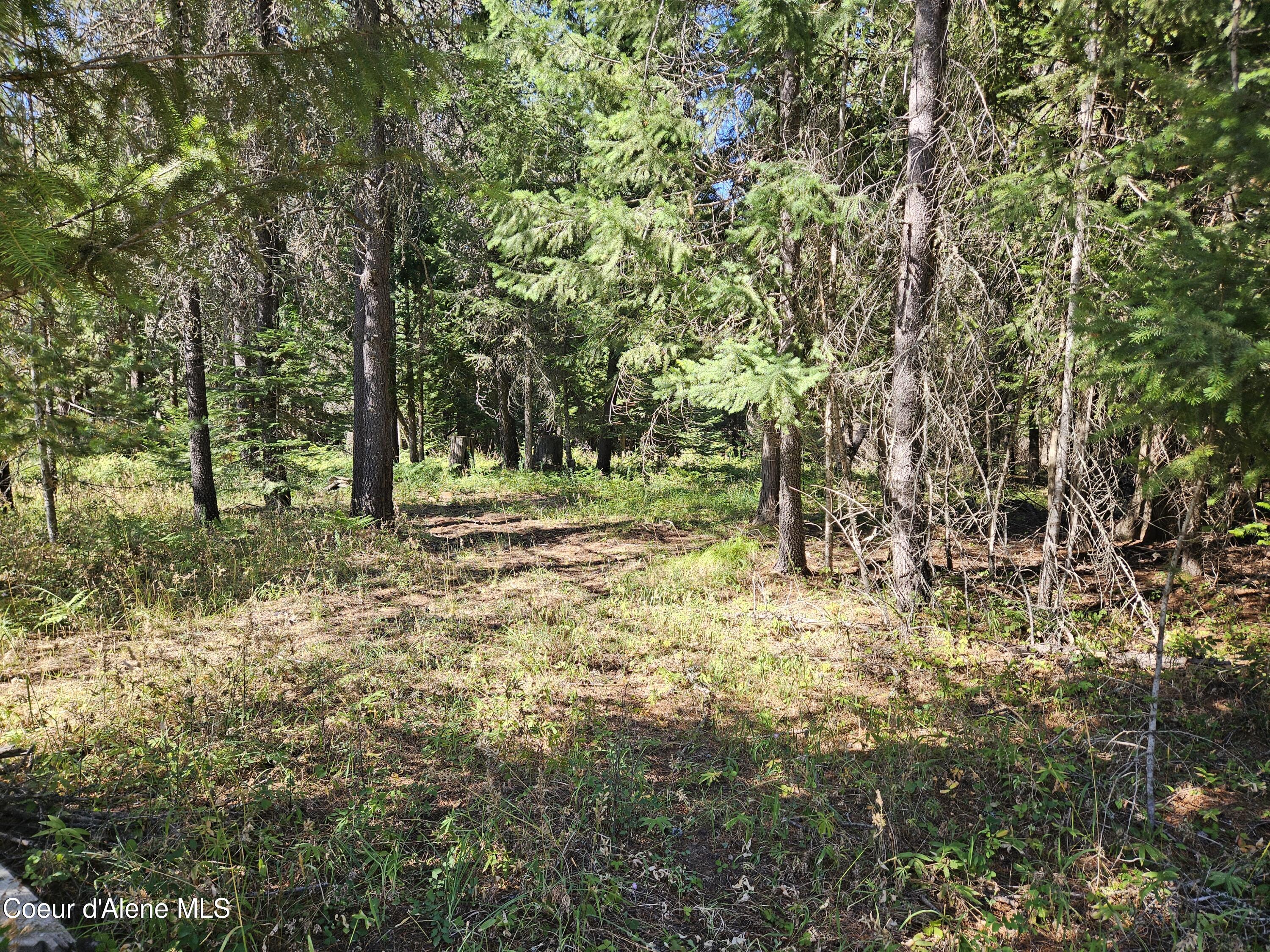 62 Westley Ln, Priest River, Idaho image 7