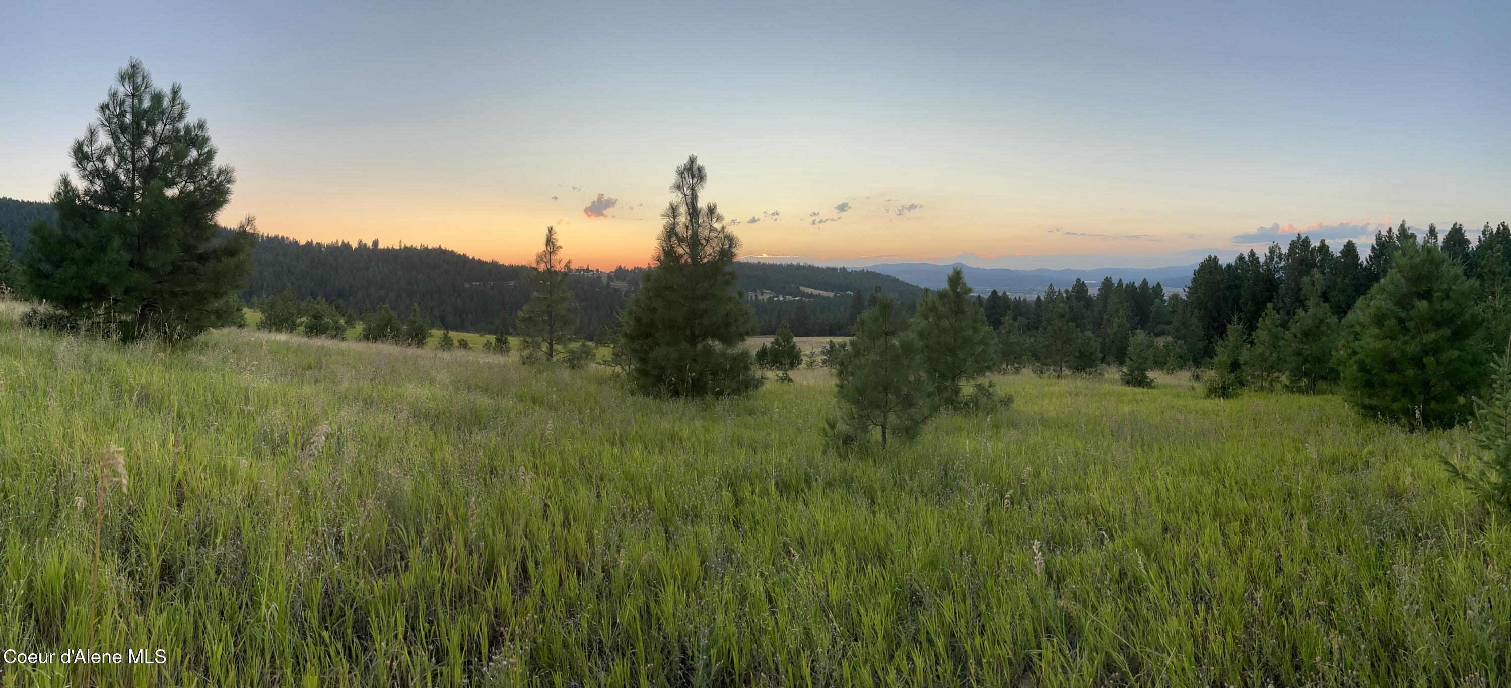 NKA W Carmel Way, Post Falls, Idaho image 8