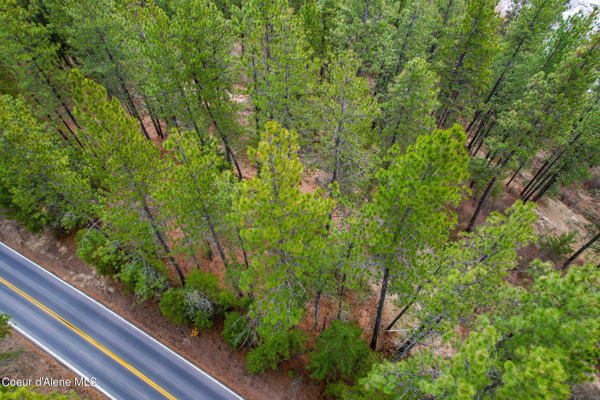 NNA Highway 97, Harrison, Idaho image 6