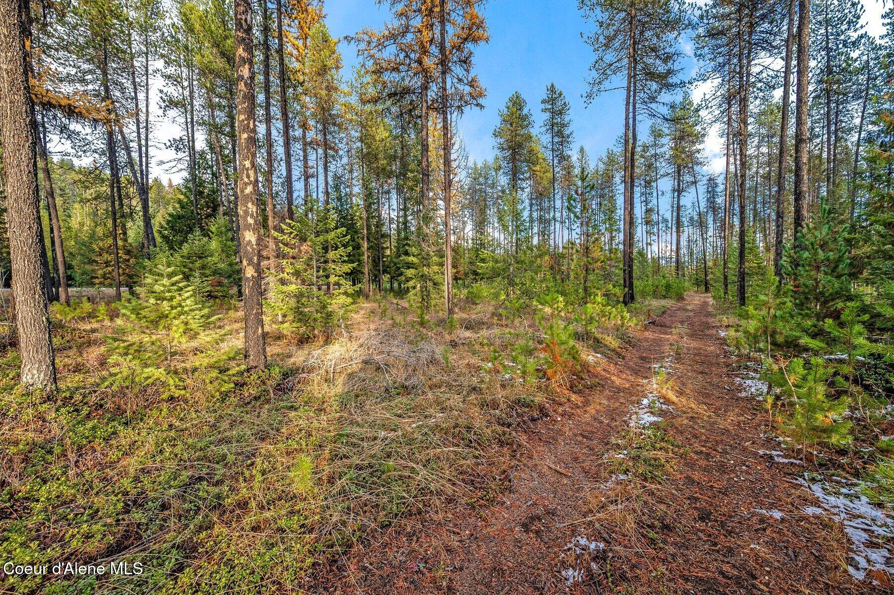 Lot 1 Reeder Bay Road, Nordman, Alaska image 6