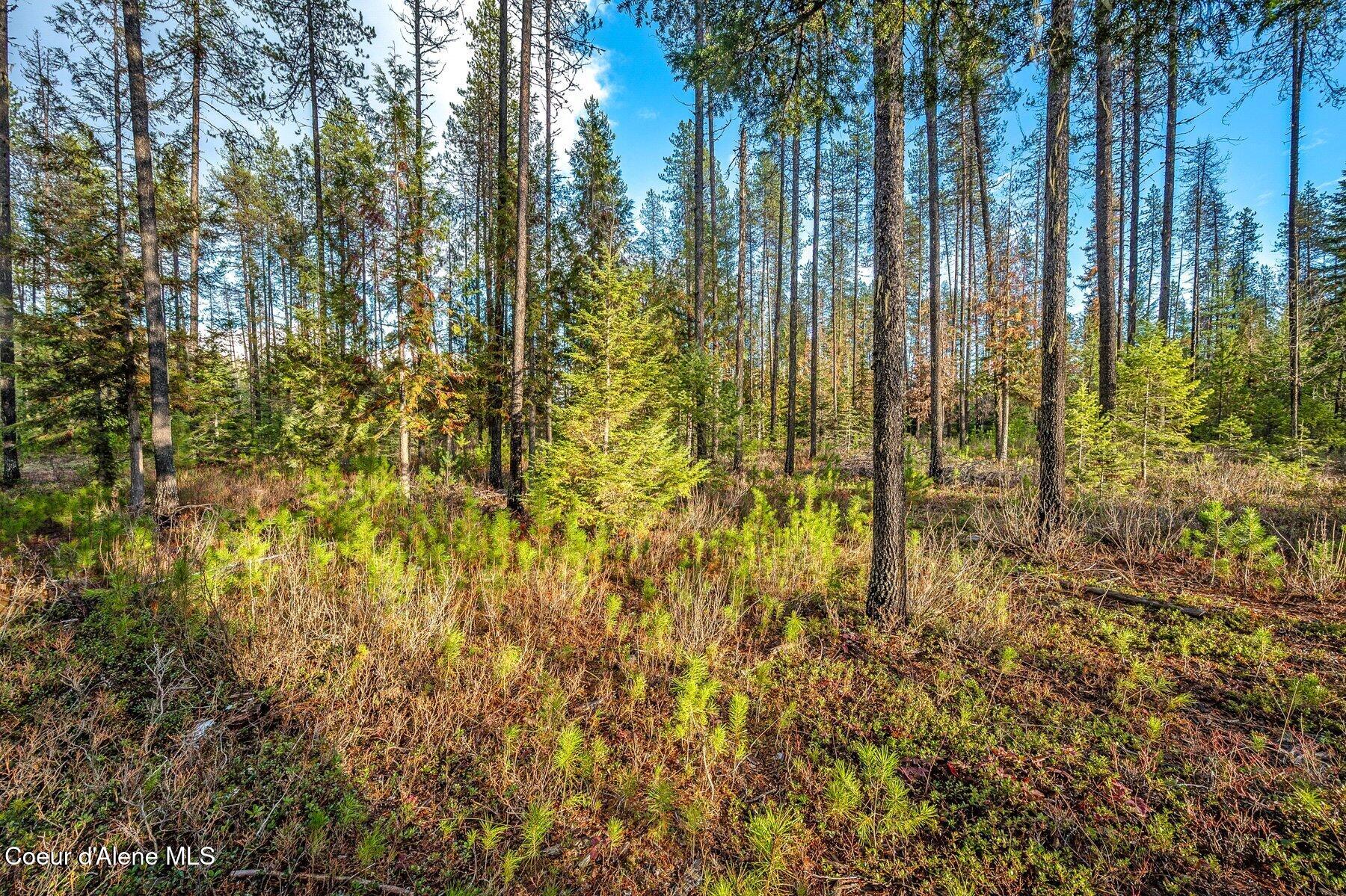 Lot 1 Reeder Bay Road, Nordman, Alaska image 22