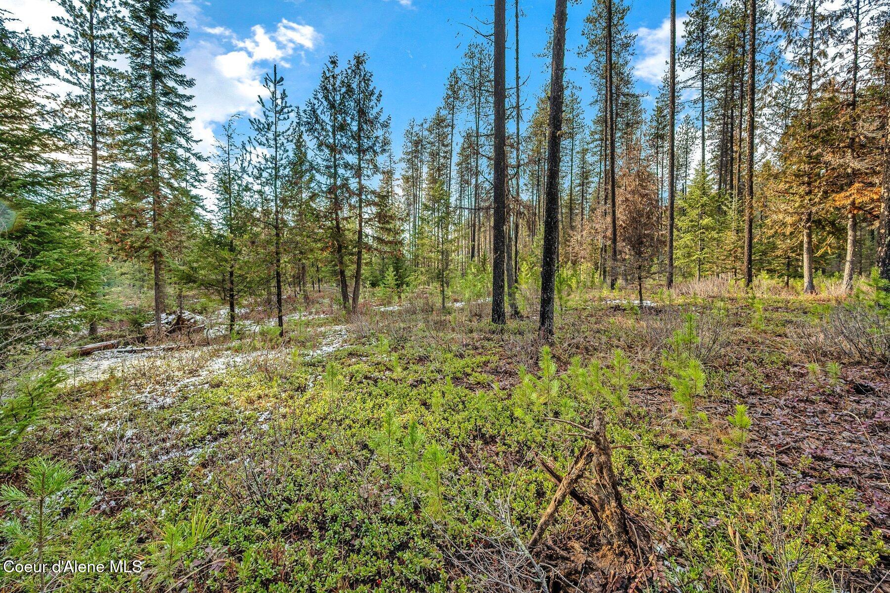 Lot 1 Reeder Bay Road, Nordman, Alaska image 17
