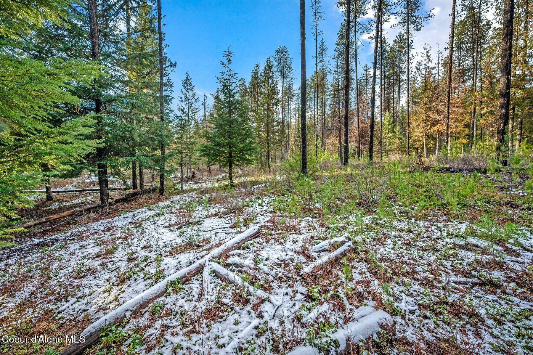 Lot 1 Reeder Bay Road, Nordman, Alaska image 12