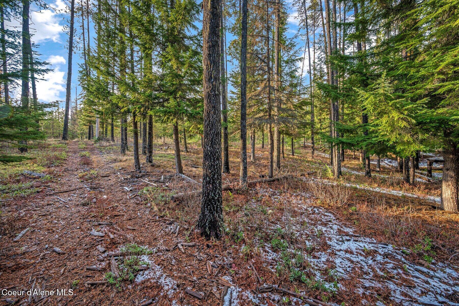Lot 1 Reeder Bay Road, Nordman, Alaska image 7