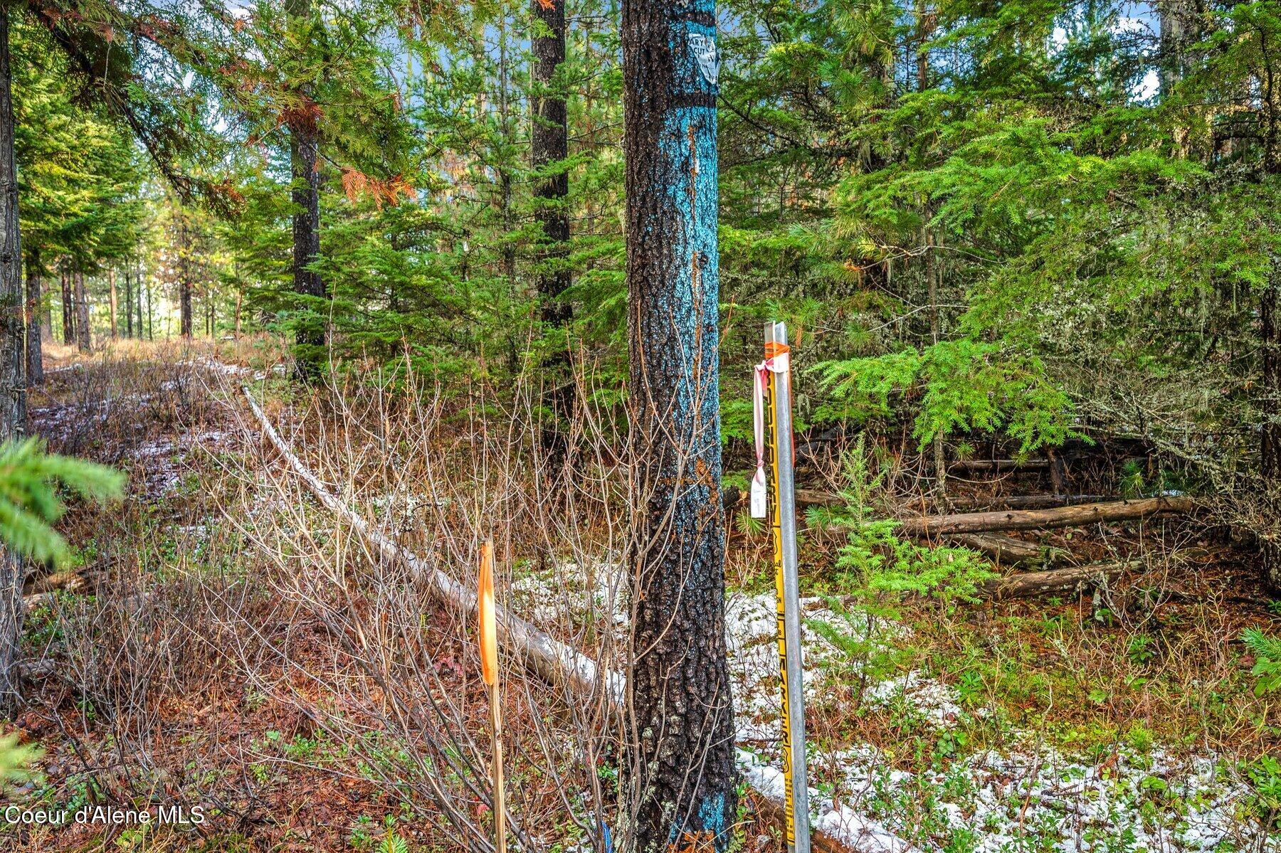Lot 1 Reeder Bay Road, Nordman, Alaska image 20