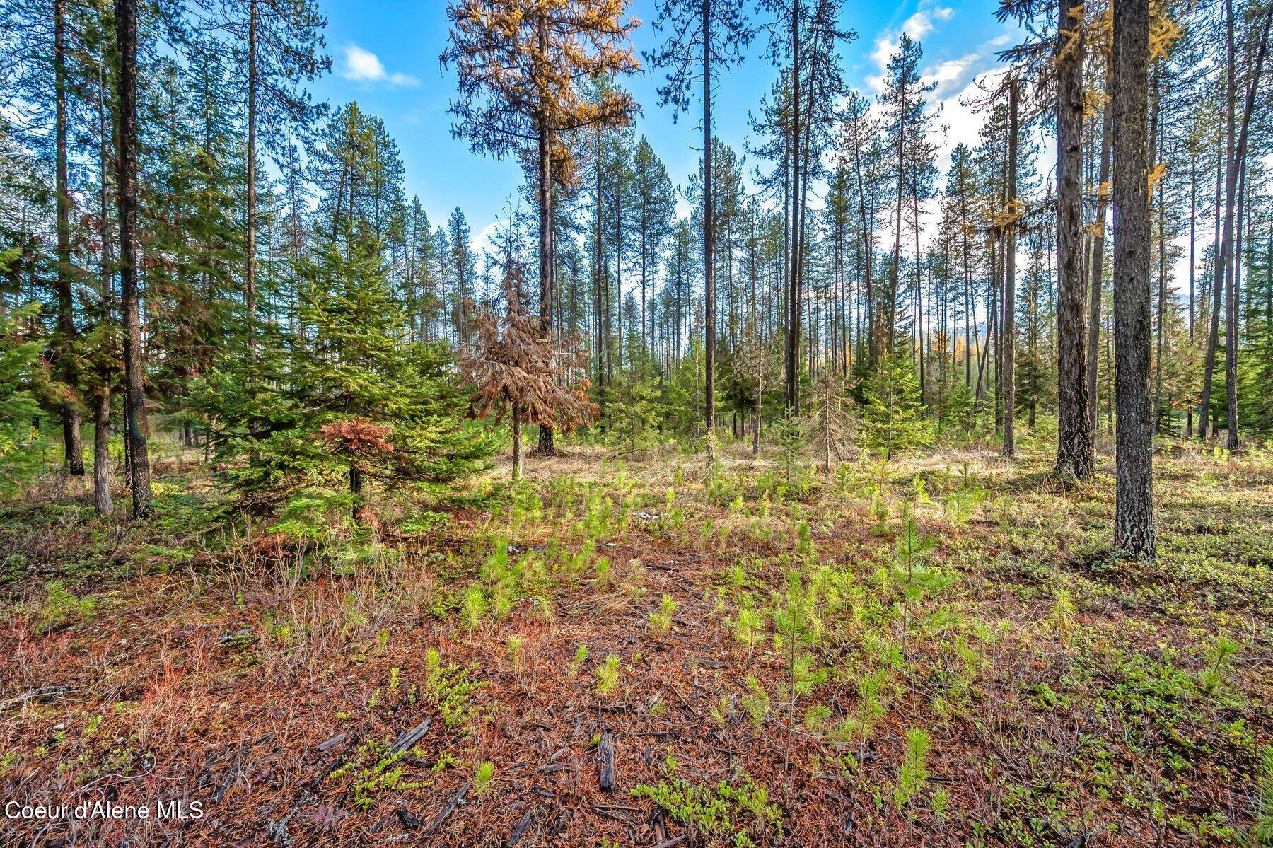 Lot 1 Reeder Bay Road, Nordman, Alaska image 9