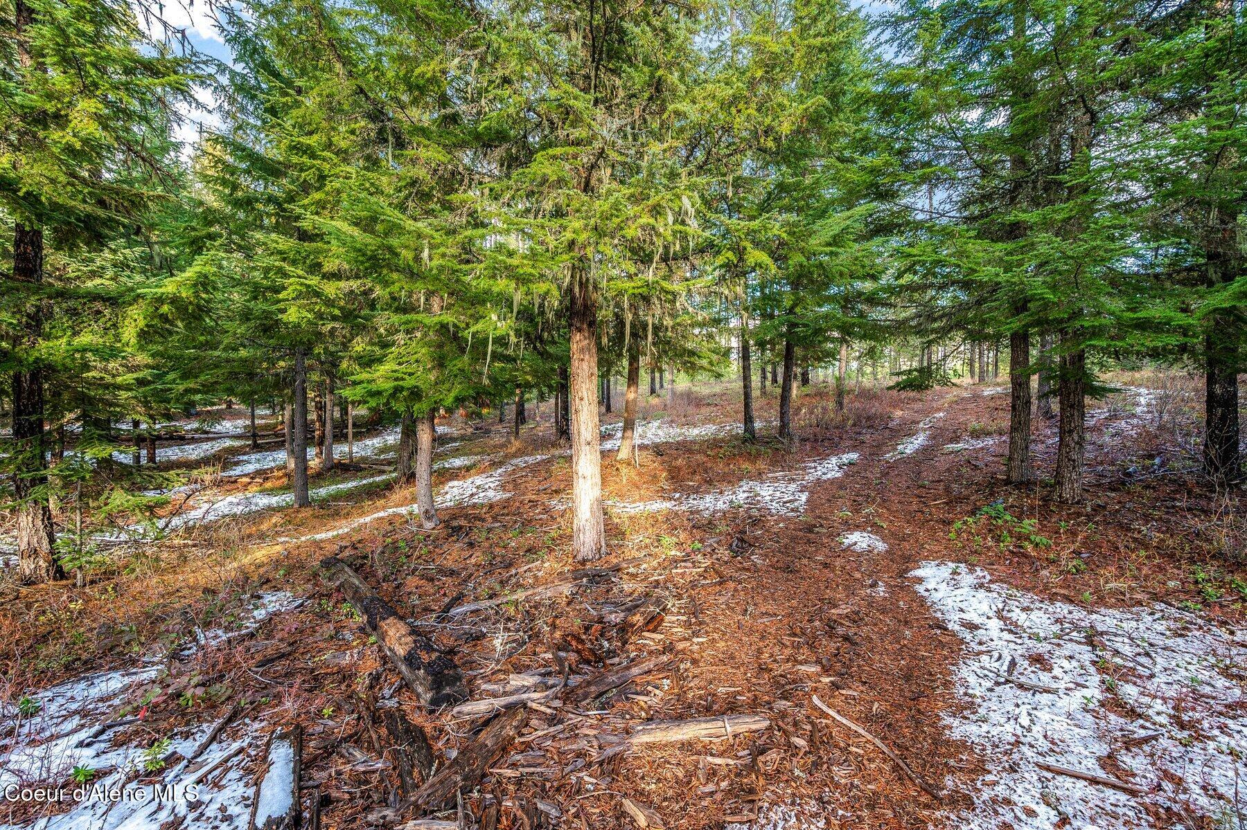 Lot 1 Reeder Bay Road, Nordman, Alaska image 3