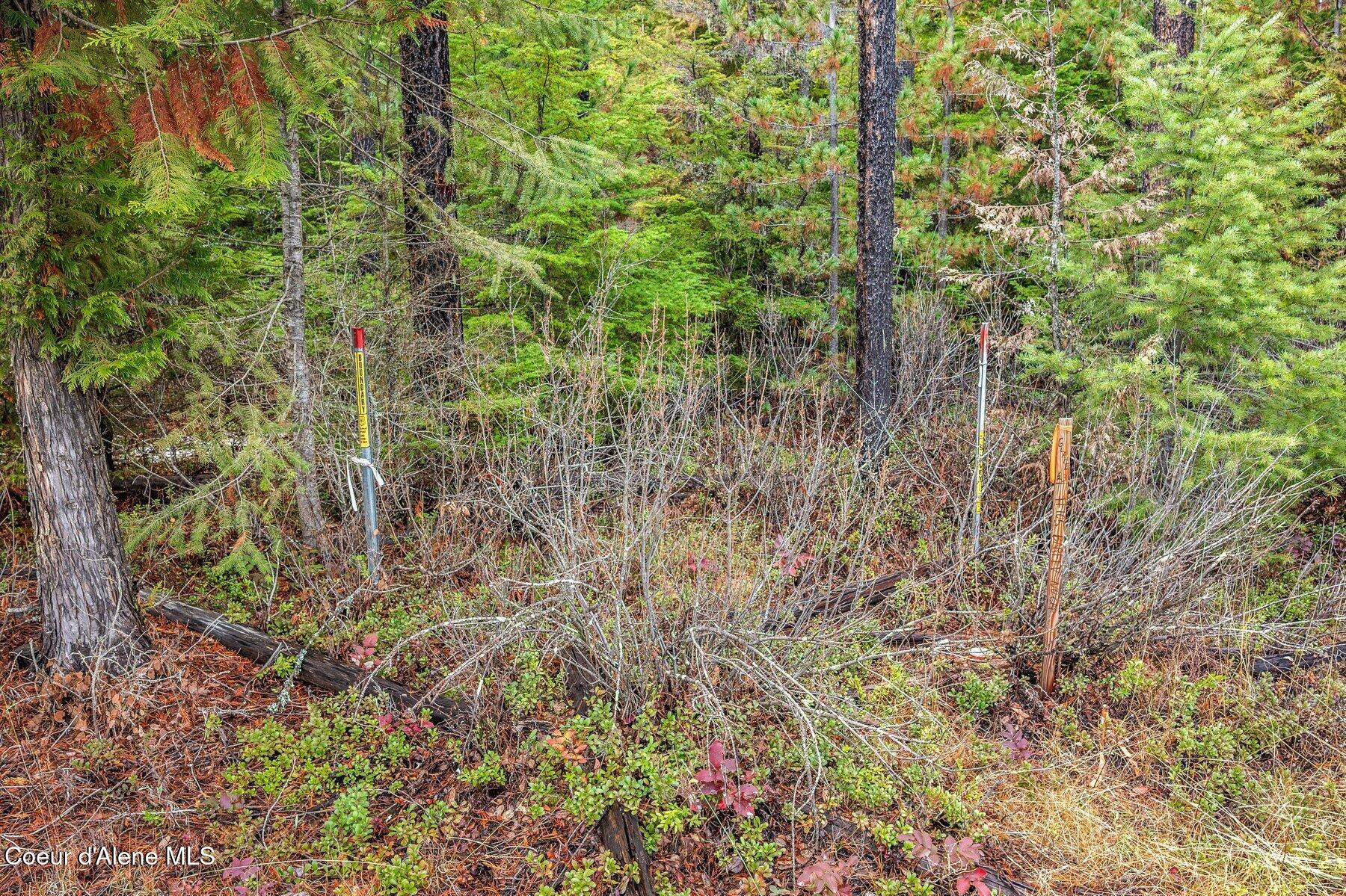 Lot 1 Reeder Bay Road, Nordman, Alaska image 8