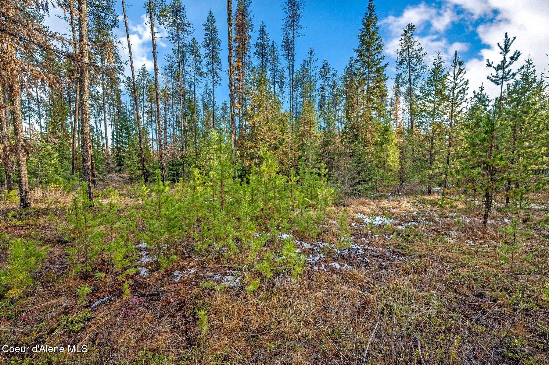 Lot 1 Reeder Bay Road, Nordman, Alaska image 13