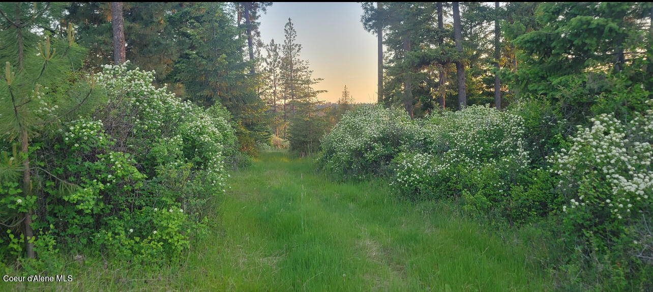 NKA S Lisa Rd, Harrison, Alaska image 6