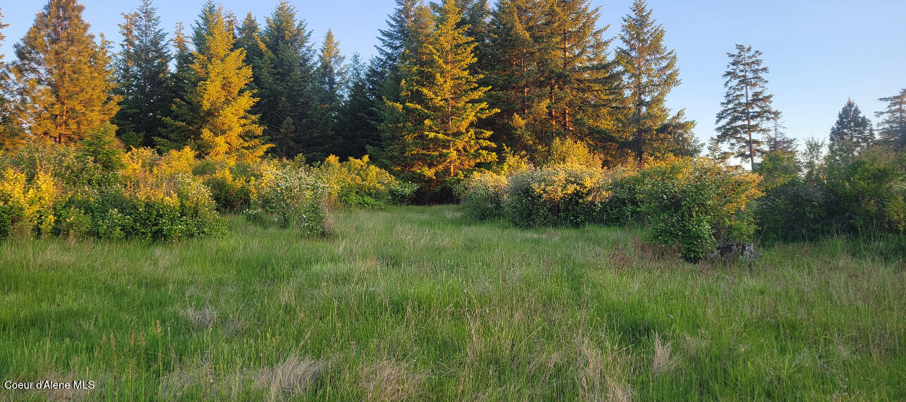 NKA S Lisa Rd, Harrison, Alaska image 10