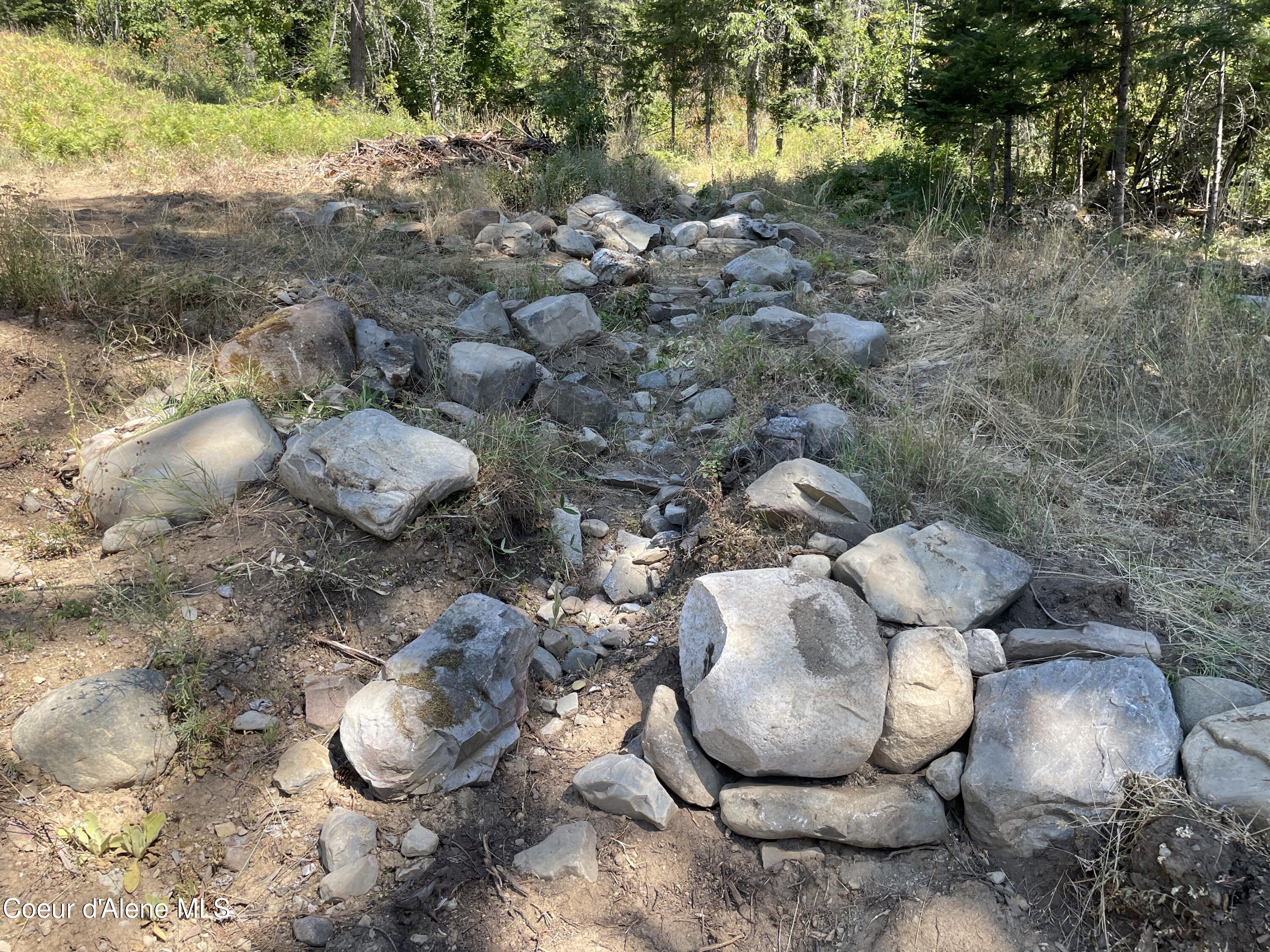 NNA Enchanted Forest Trail, Hope, Idaho image 8