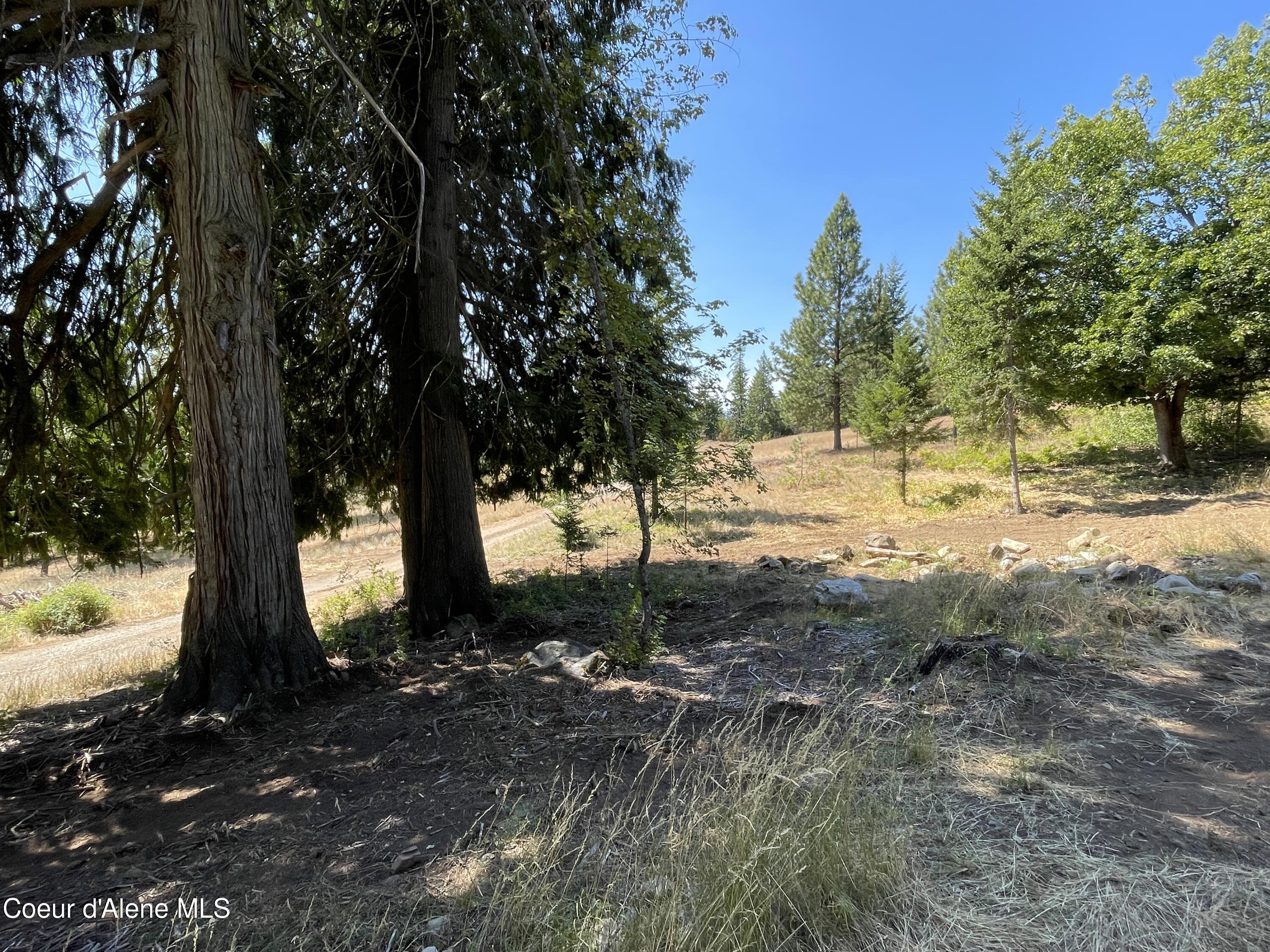 NNA Enchanted Forest Trail, Hope, Idaho image 15