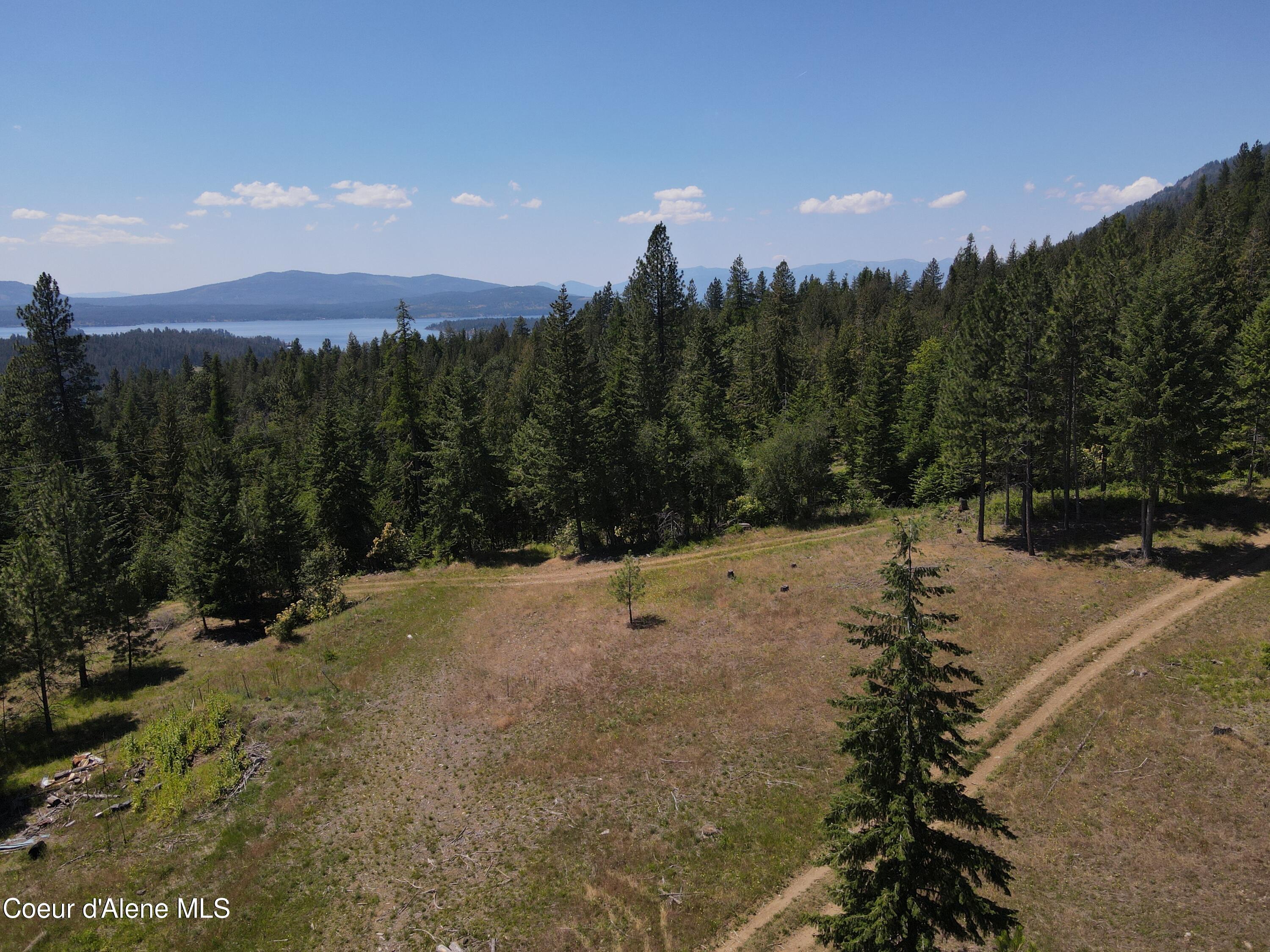 NNA Enchanted Forest Trail, Hope, Idaho image 17