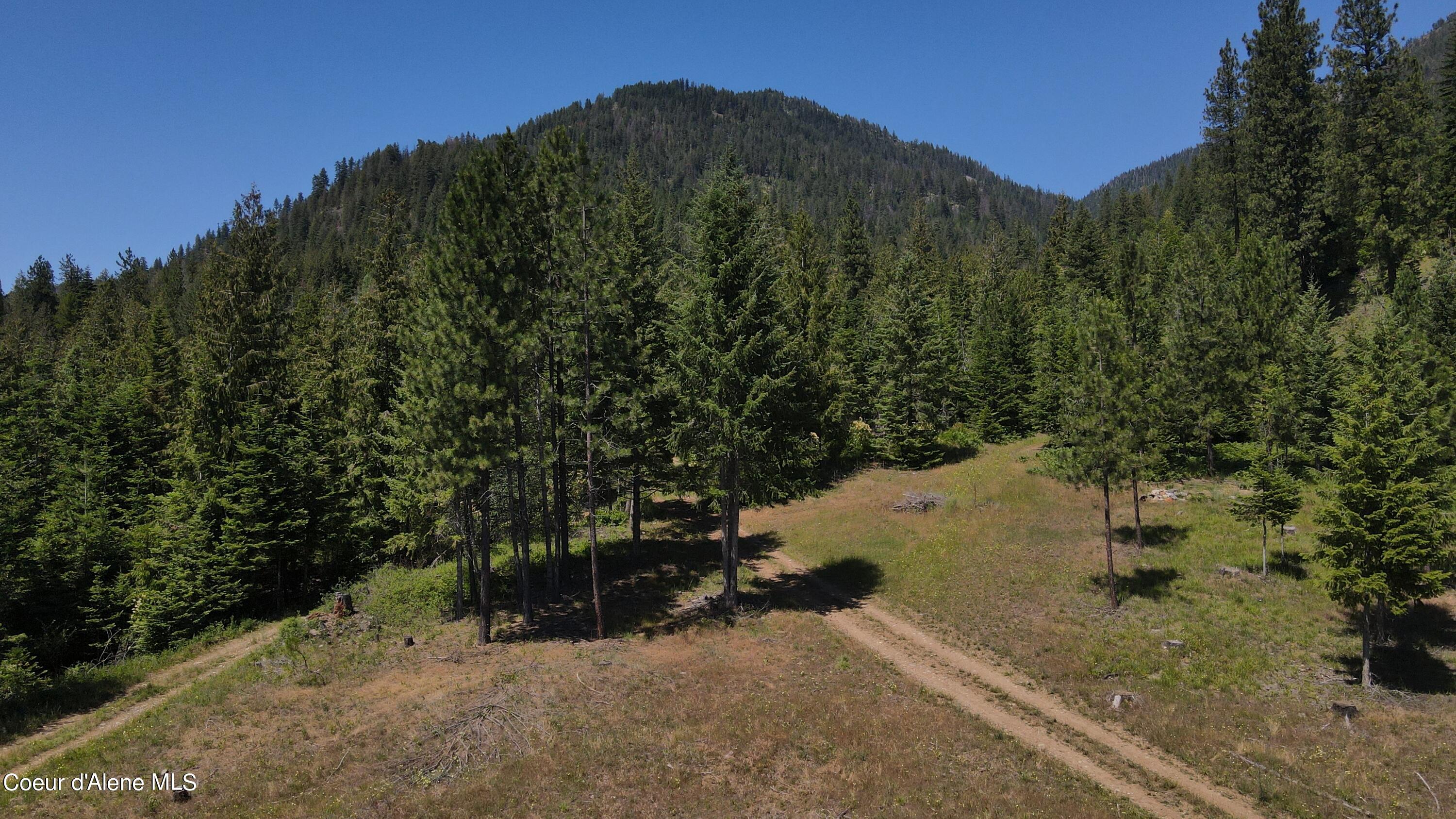 NNA Enchanted Forest Trail, Hope, Idaho image 4