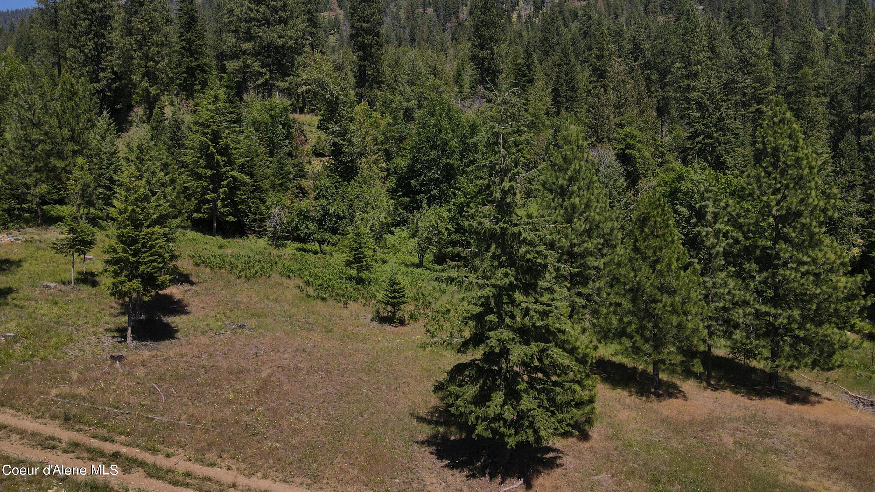 NNA Enchanted Forest Trail, Hope, Idaho image 37