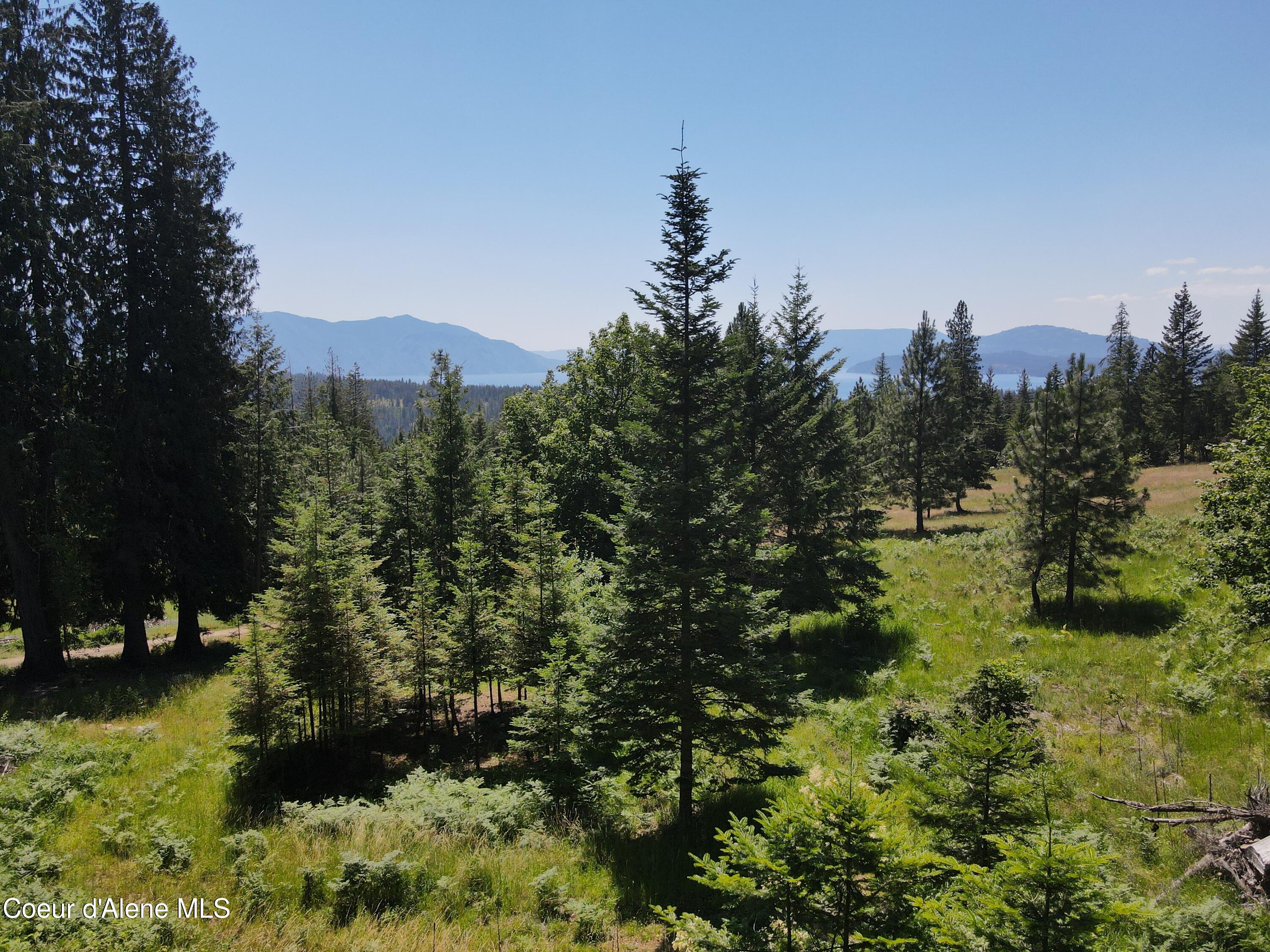 NNA Enchanted Forest Trail, Hope, Idaho image 23
