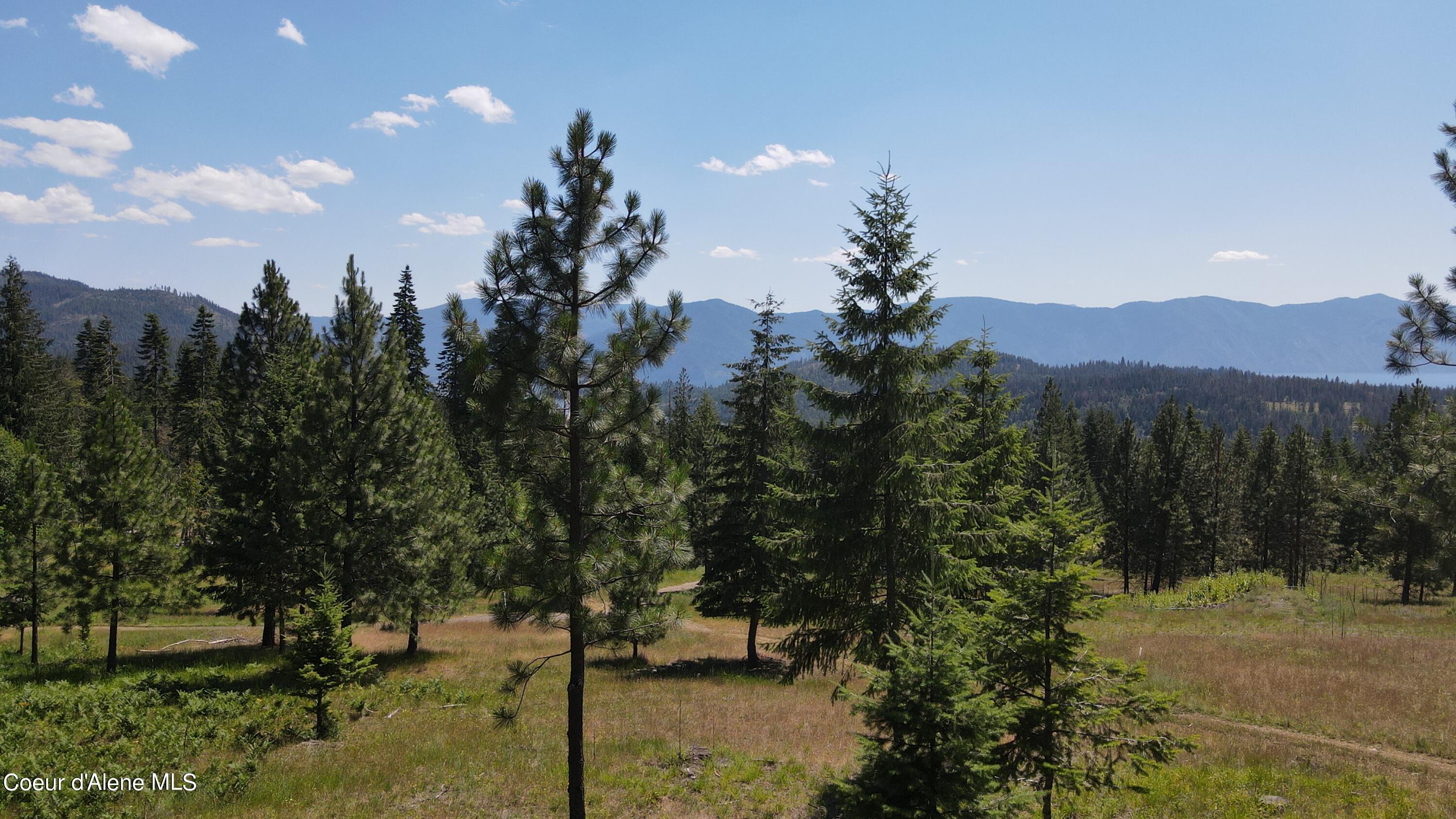 NNA Enchanted Forest Trail, Hope, Idaho image 47