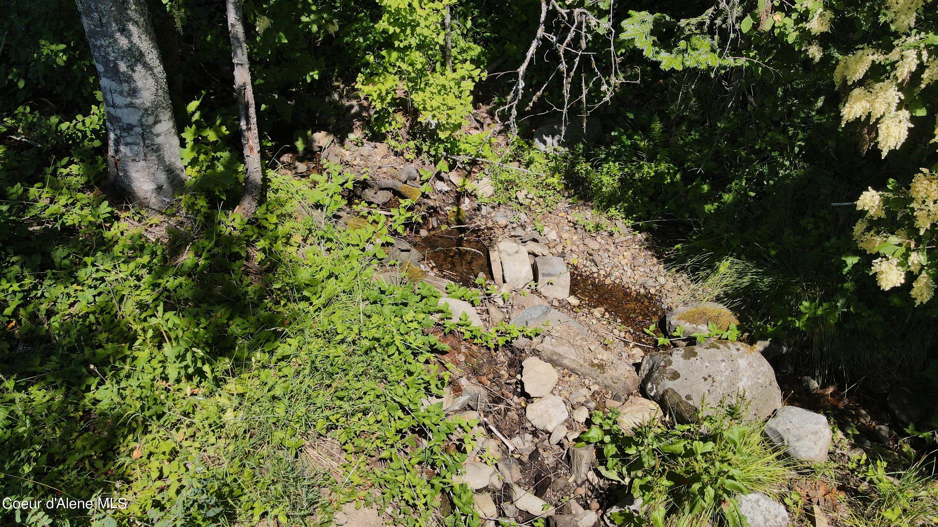 NNA Enchanted Forest Trail, Hope, Idaho image 6