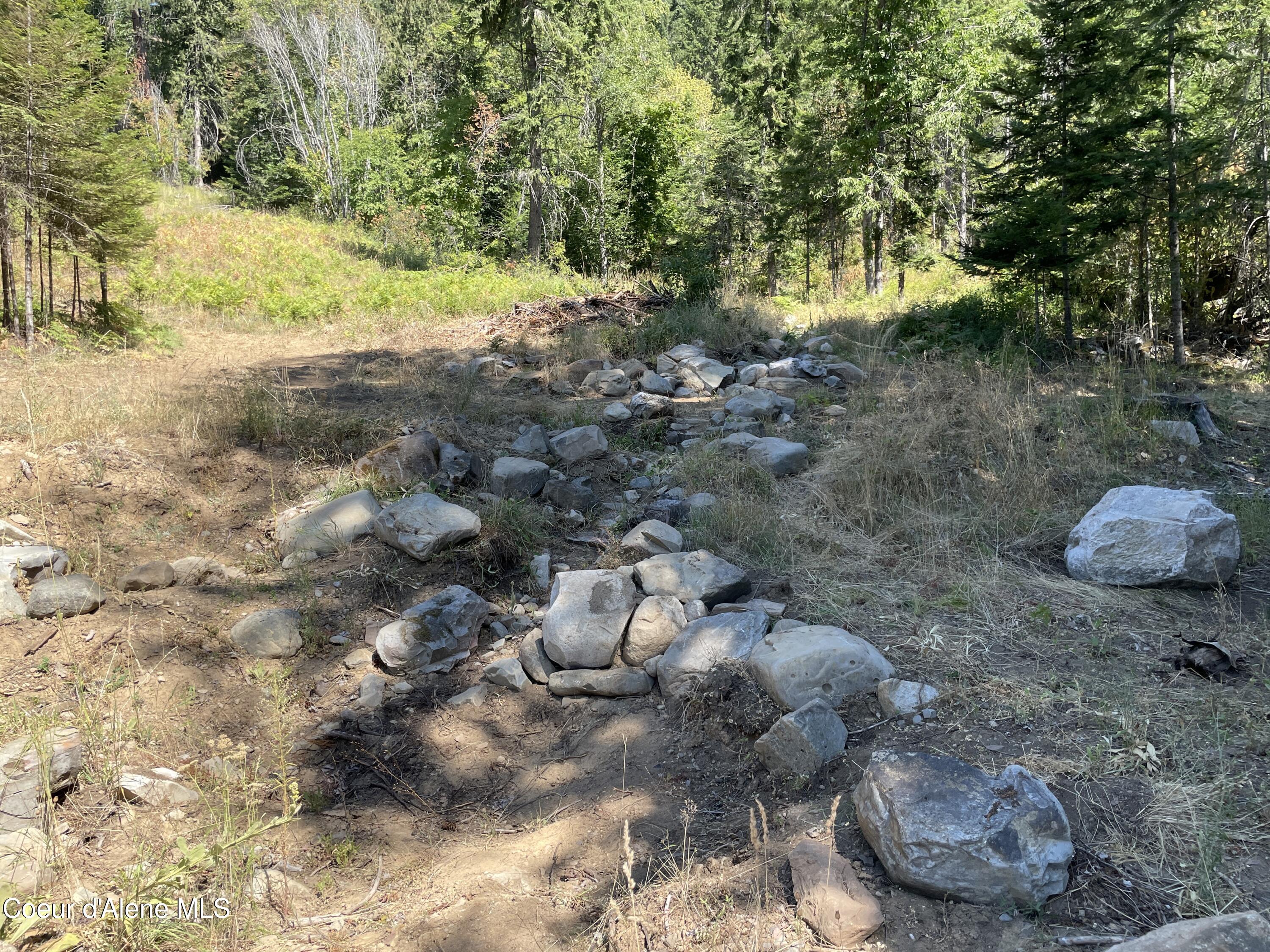 NNA Enchanted Forest Trail, Hope, Idaho image 7