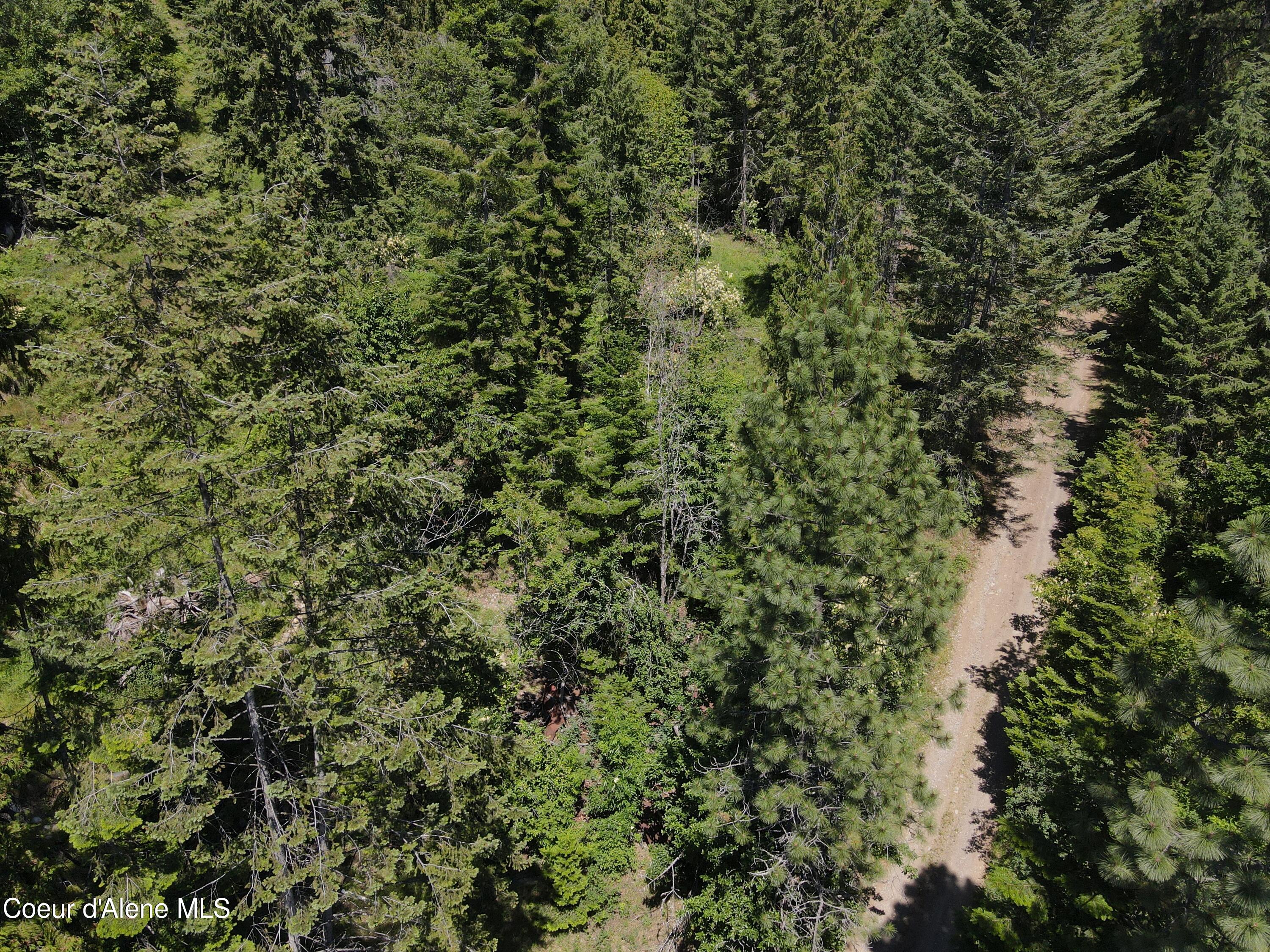 NNA Enchanted Forest Trail, Hope, Idaho image 20