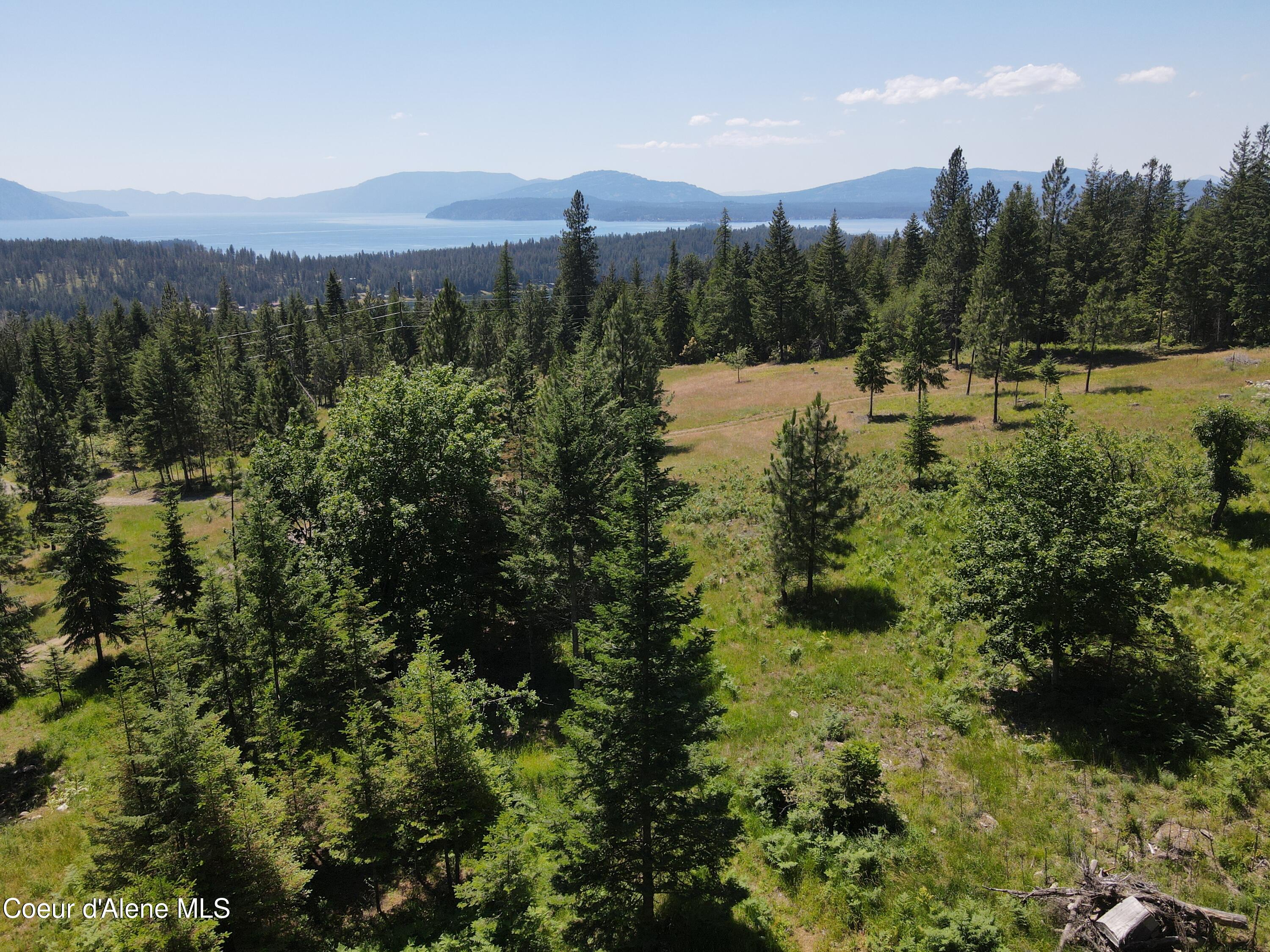 NNA Enchanted Forest Trail, Hope, Idaho image 16
