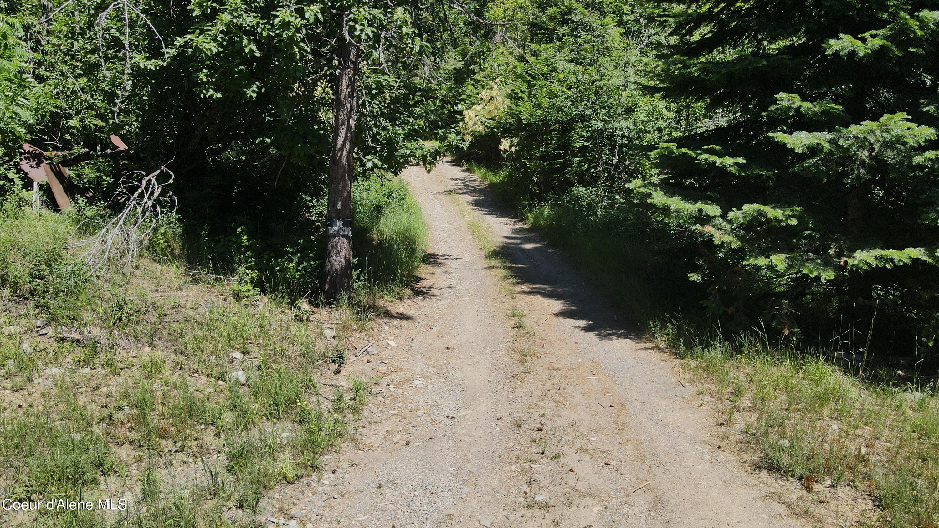 NNA Enchanted Forest Trail, Hope, Idaho image 38