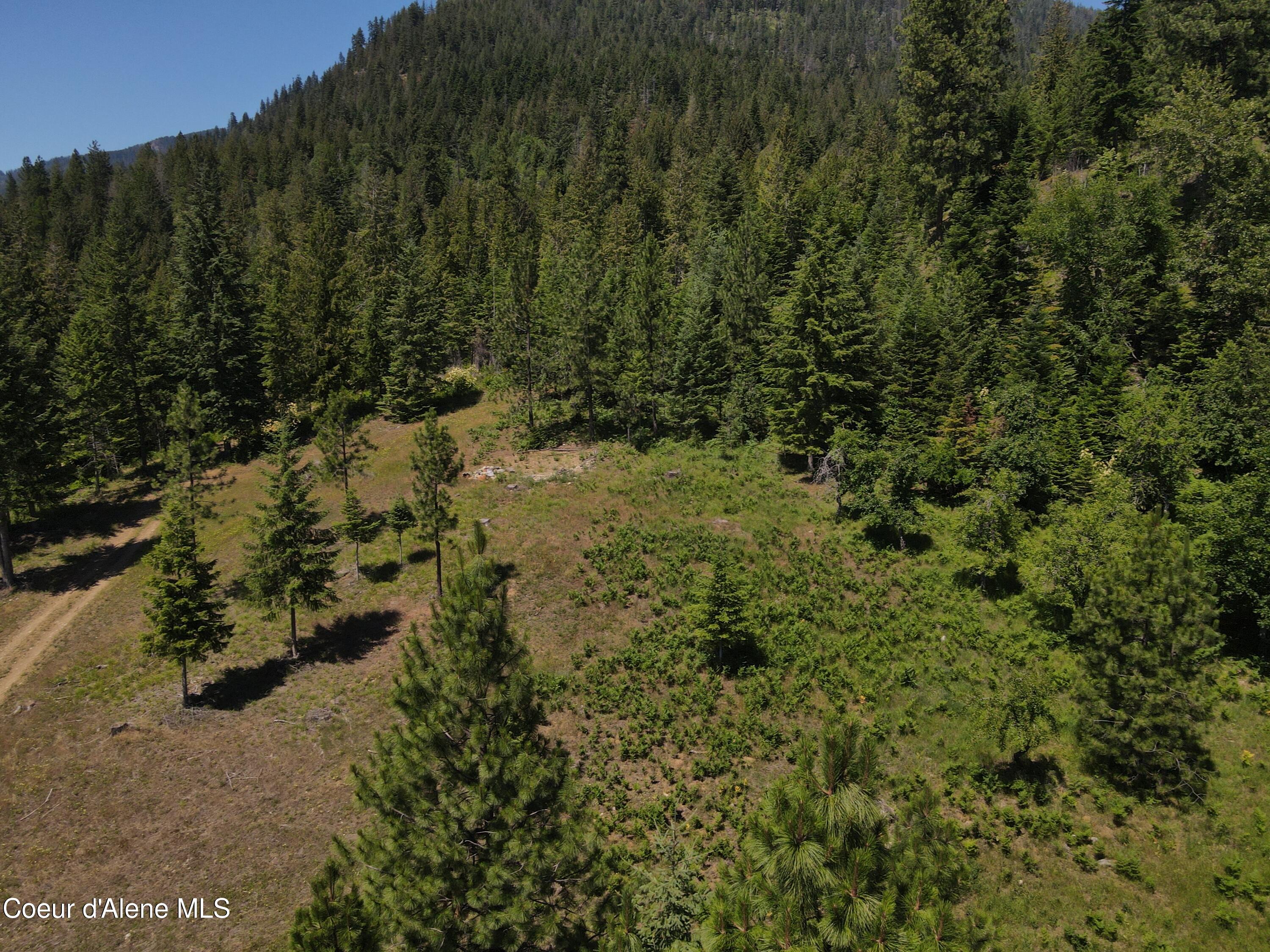 NNA Enchanted Forest Trail, Hope, Idaho image 18