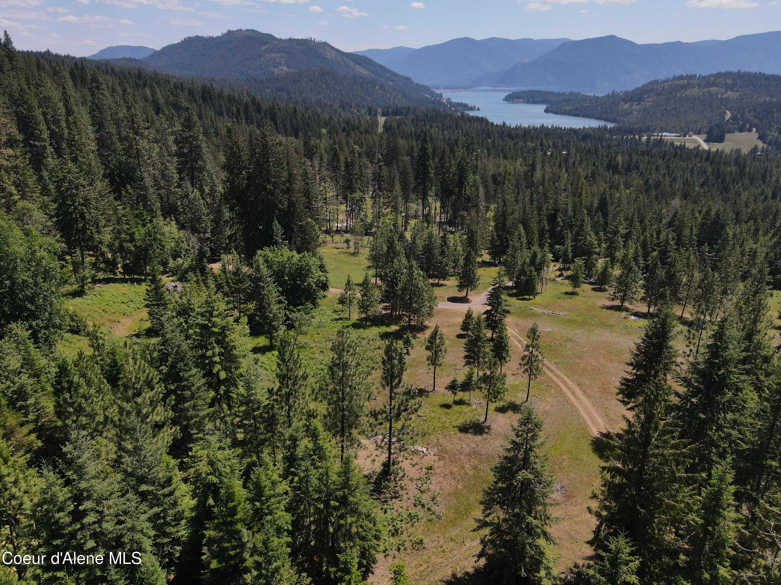 NNA Enchanted Forest Trail, Hope, Idaho image 26