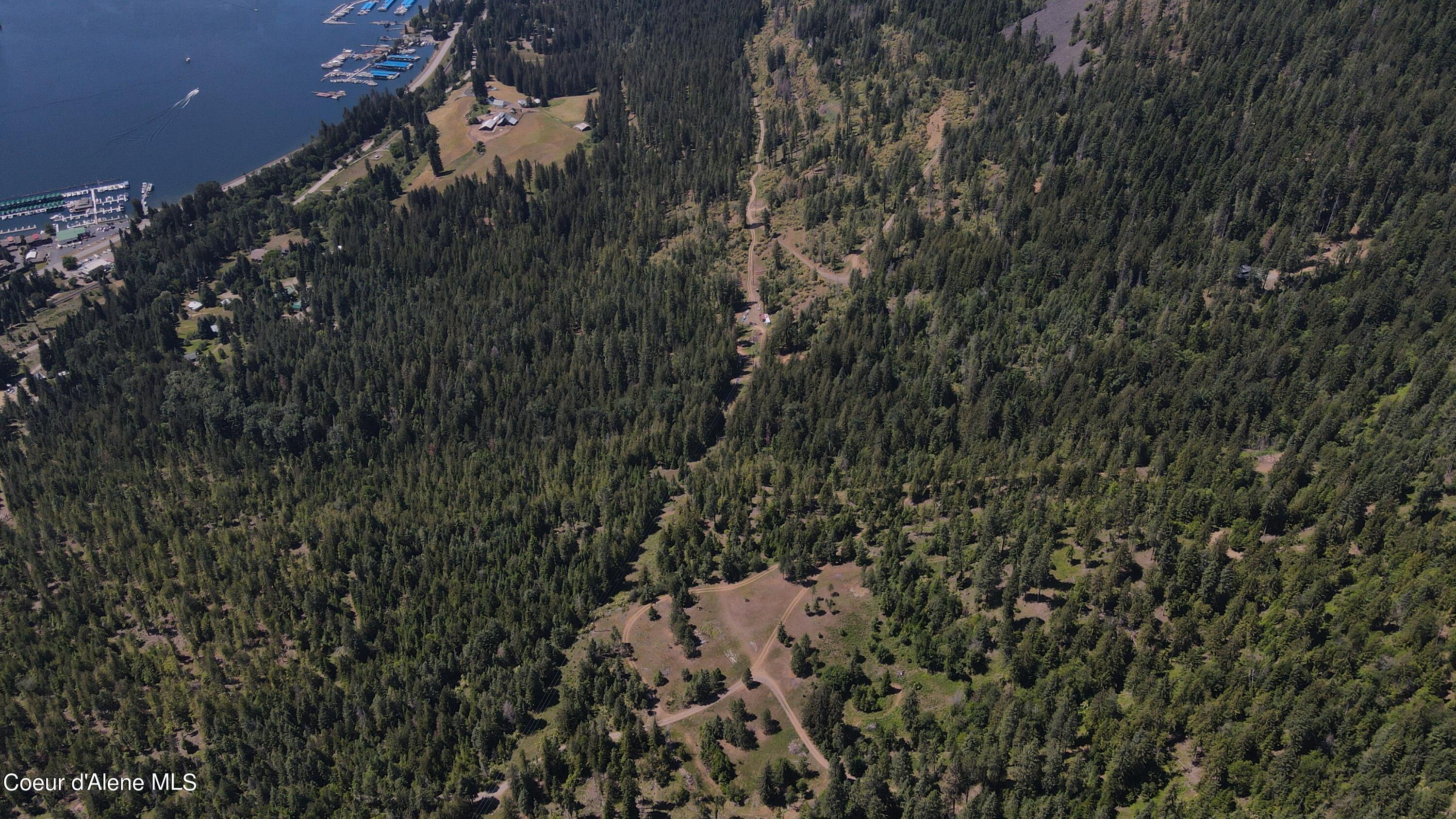 NNA Enchanted Forest Trail, Hope, Idaho image 36