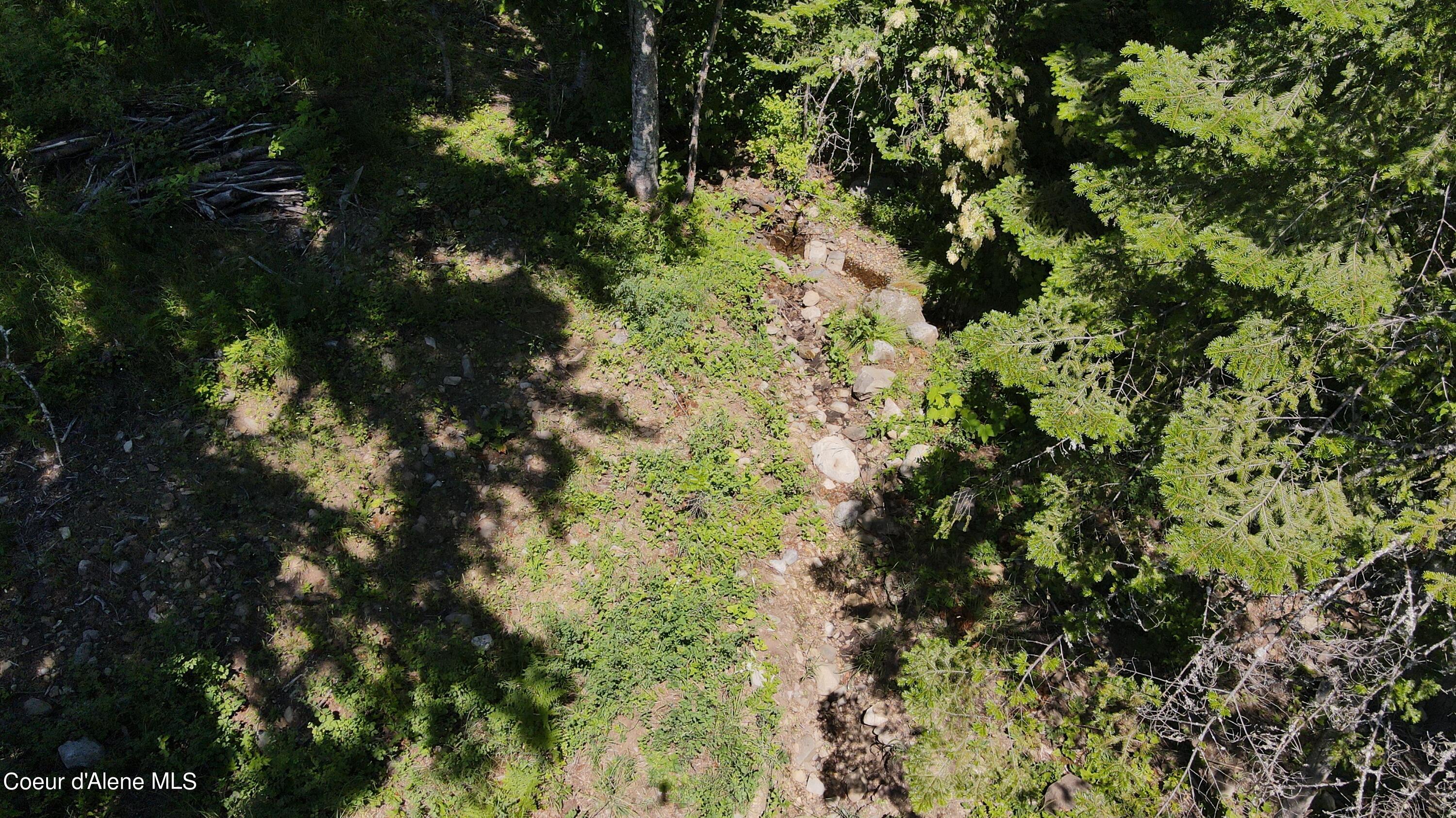 NNA Enchanted Forest Trail, Hope, Idaho image 40