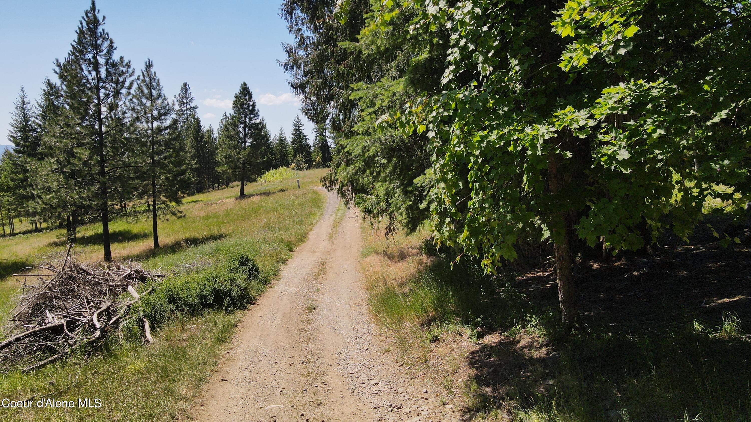 NNA Enchanted Forest Trail, Hope, Idaho image 5