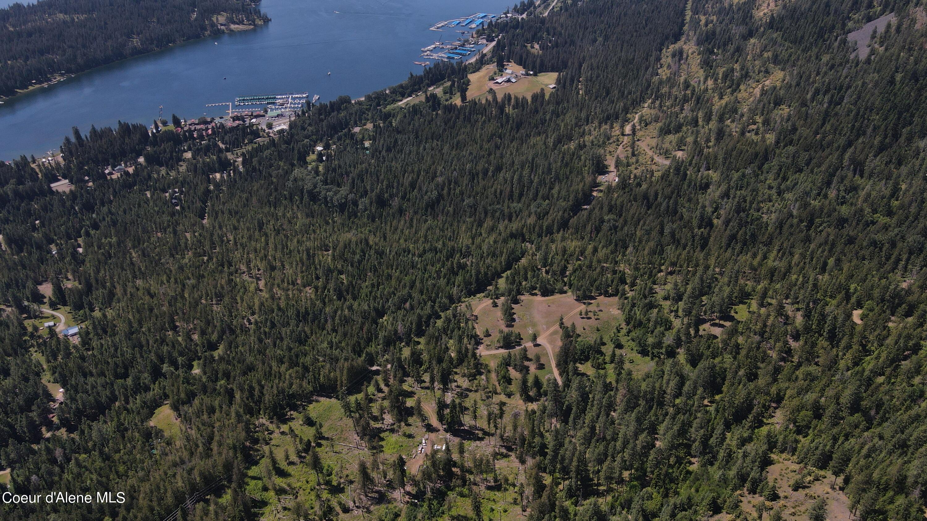 NNA Enchanted Forest Trail, Hope, Idaho image 35