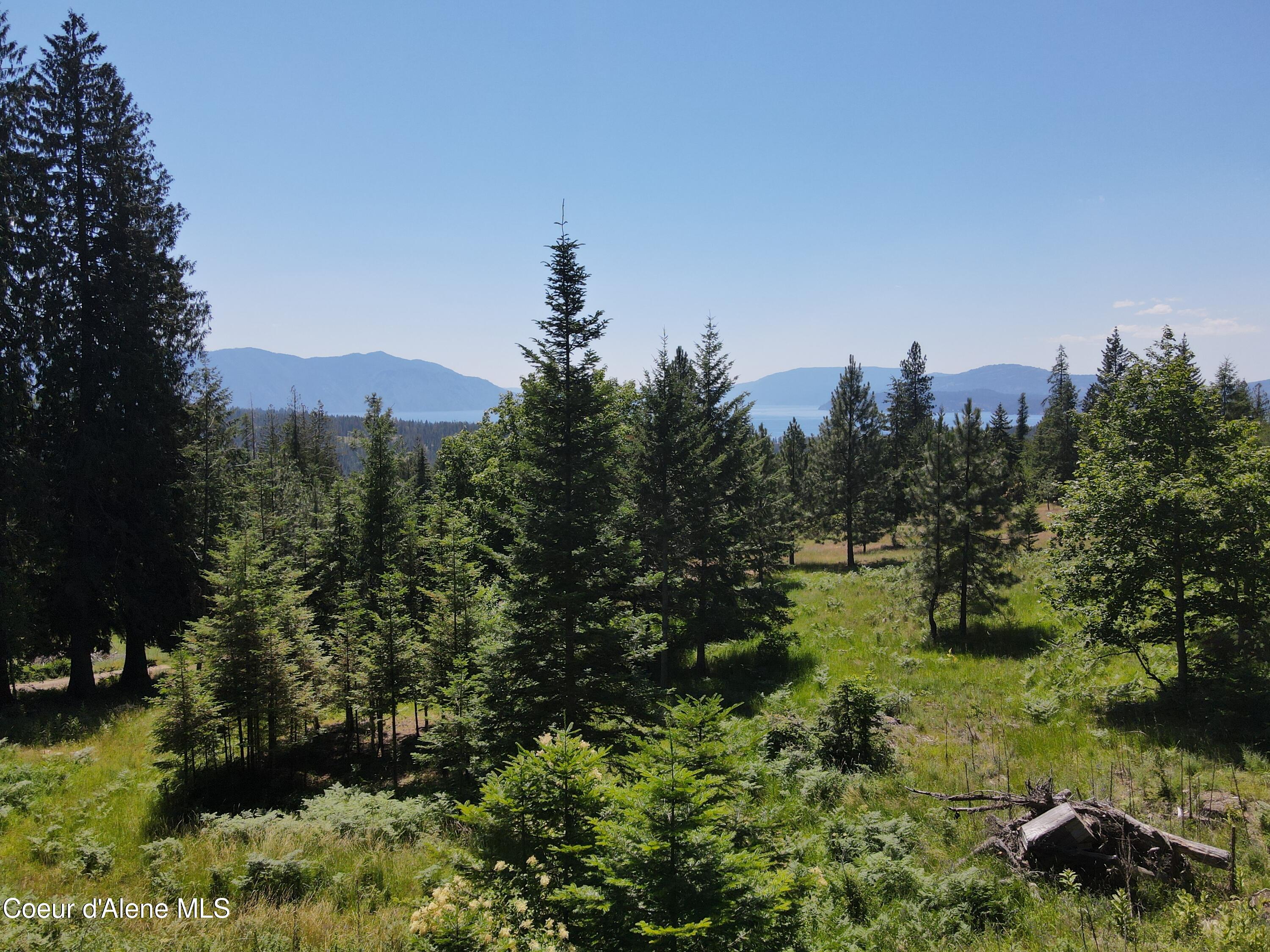 NNA Enchanted Forest Trail, Hope, Idaho image 25