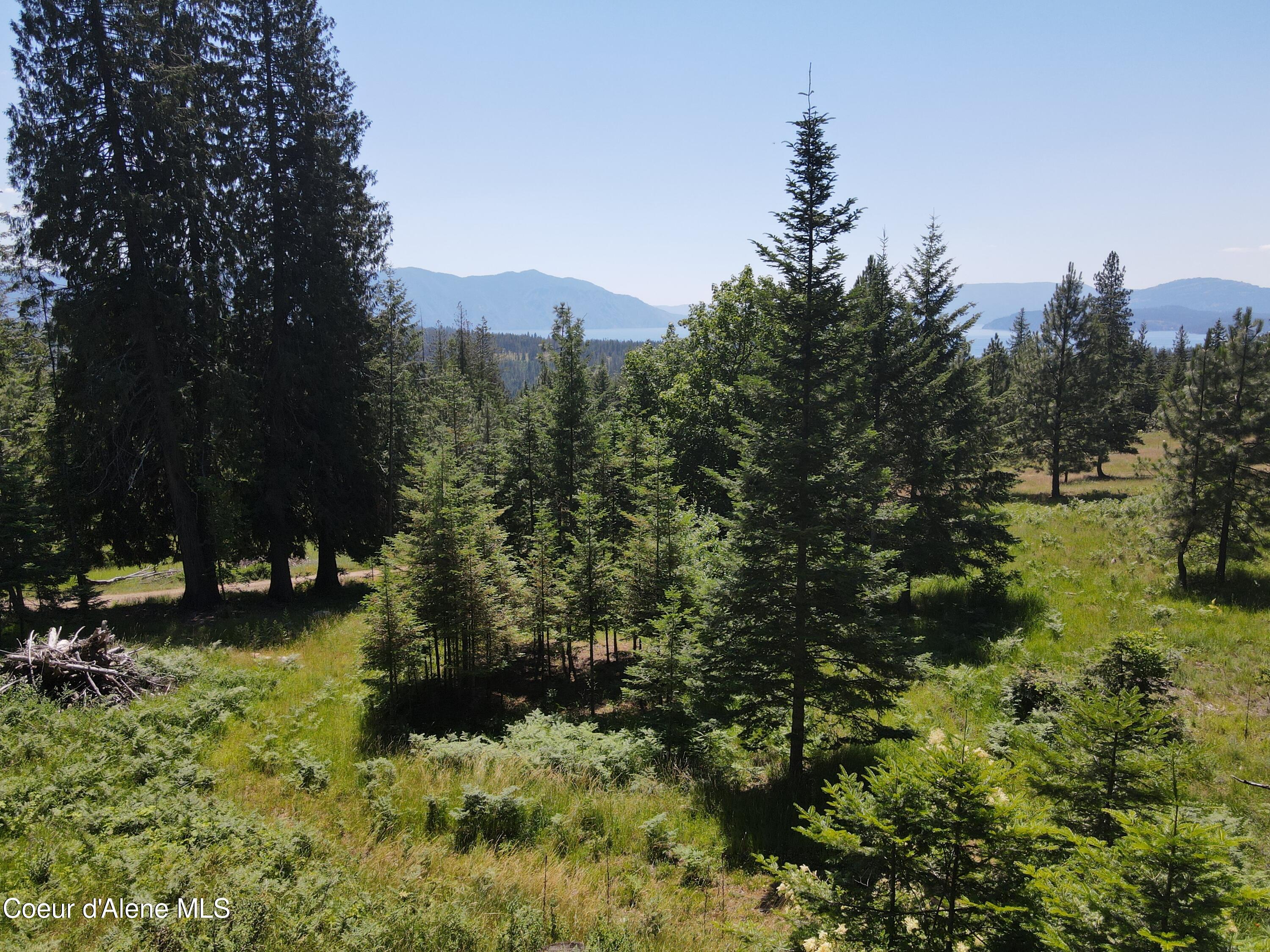NNA Enchanted Forest Trail, Hope, Idaho image 22