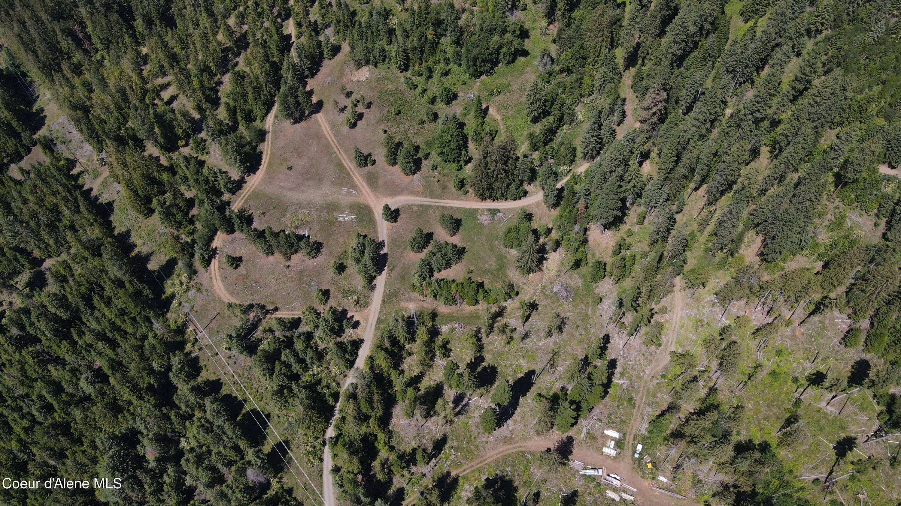 NNA Enchanted Forest Trail, Hope, Idaho image 44