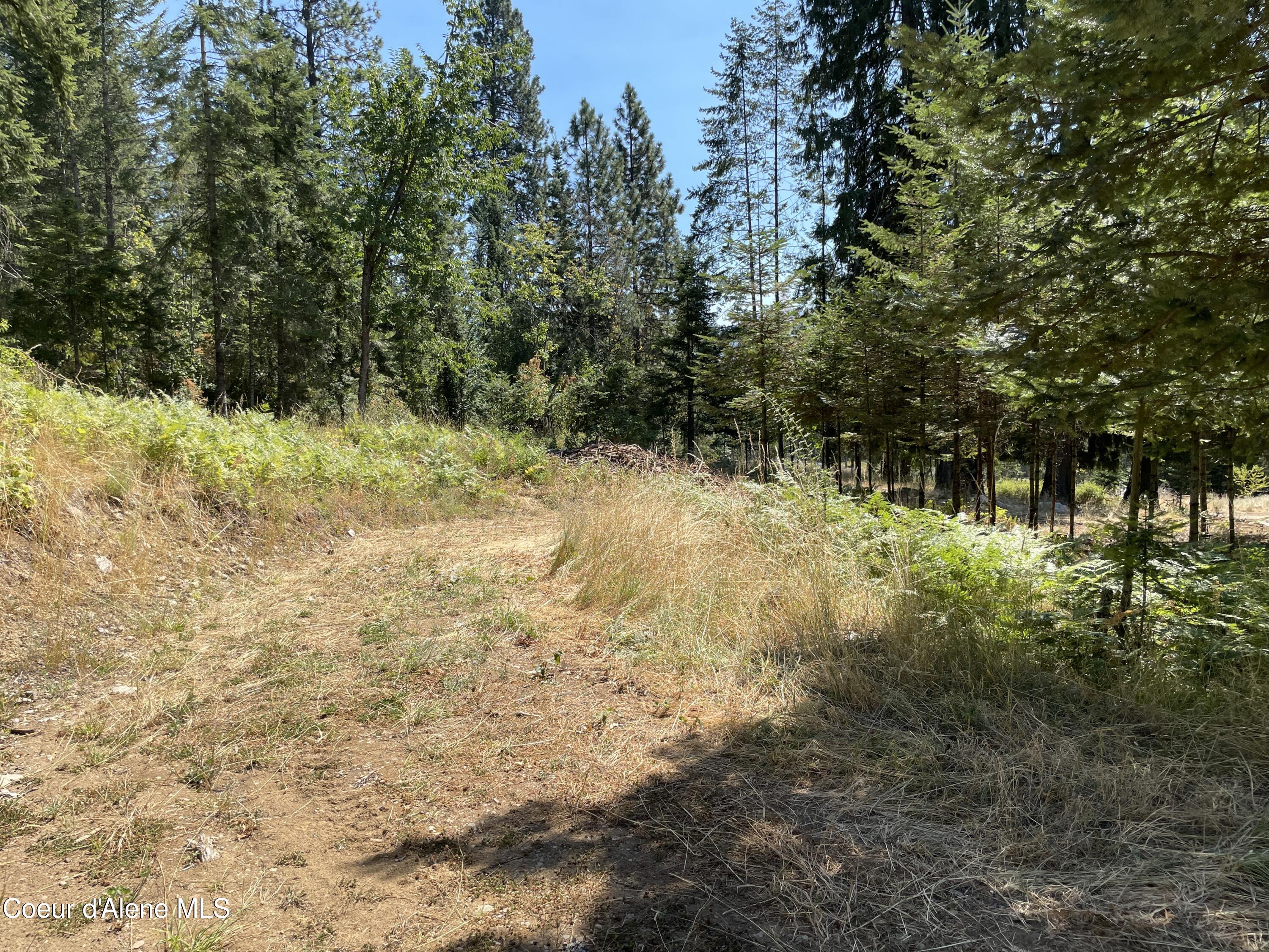 NNA Enchanted Forest Trail, Hope, Idaho image 13