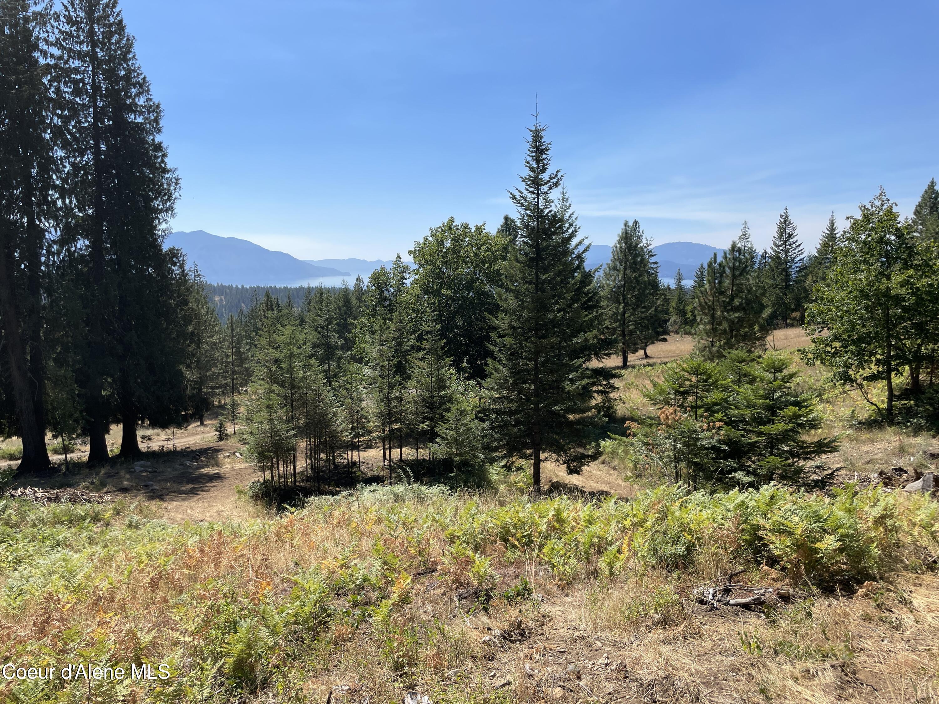 NNA Enchanted Forest Trail, Hope, Idaho image 2