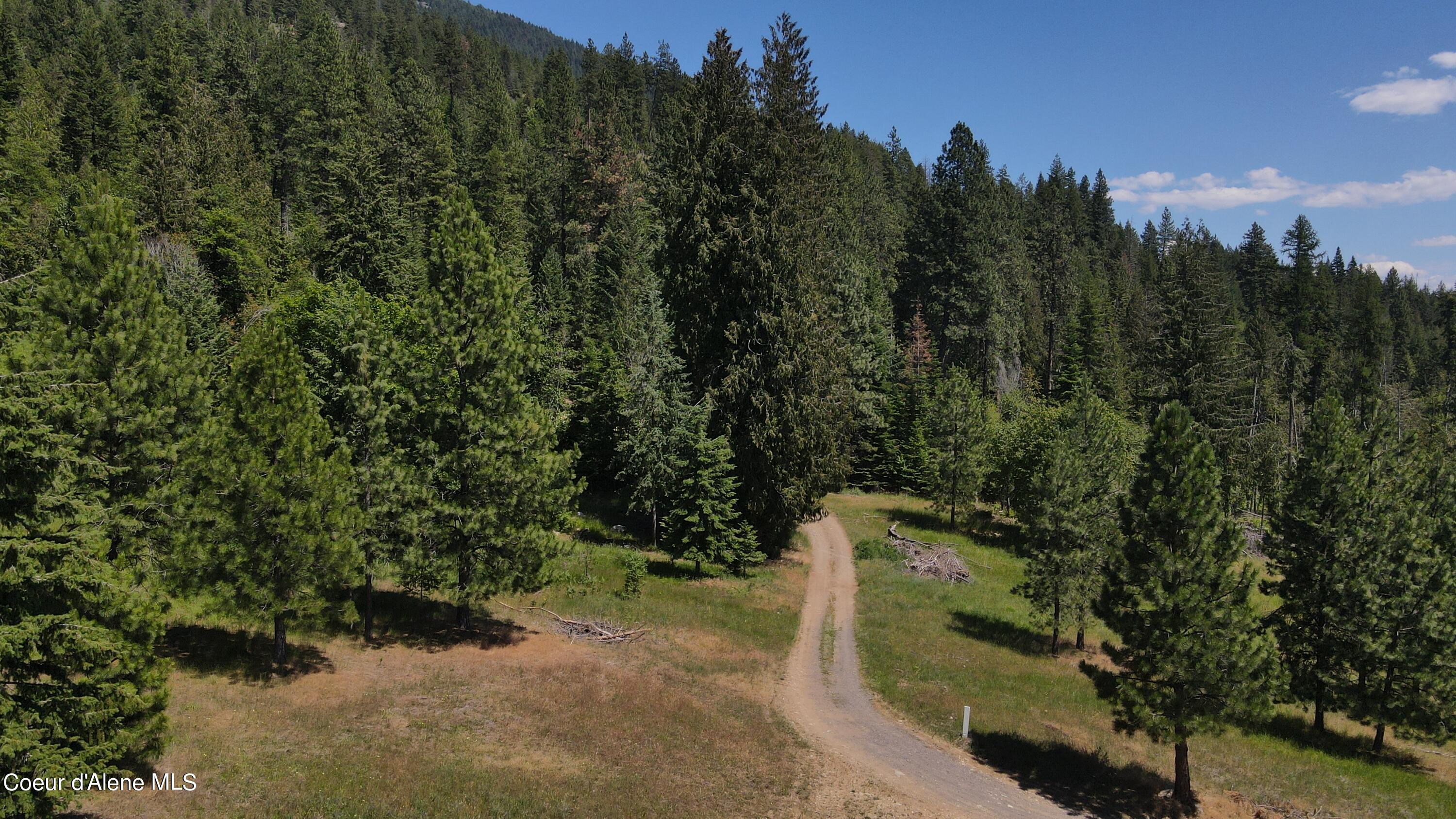 NNA Enchanted Forest Trail, Hope, Idaho image 3