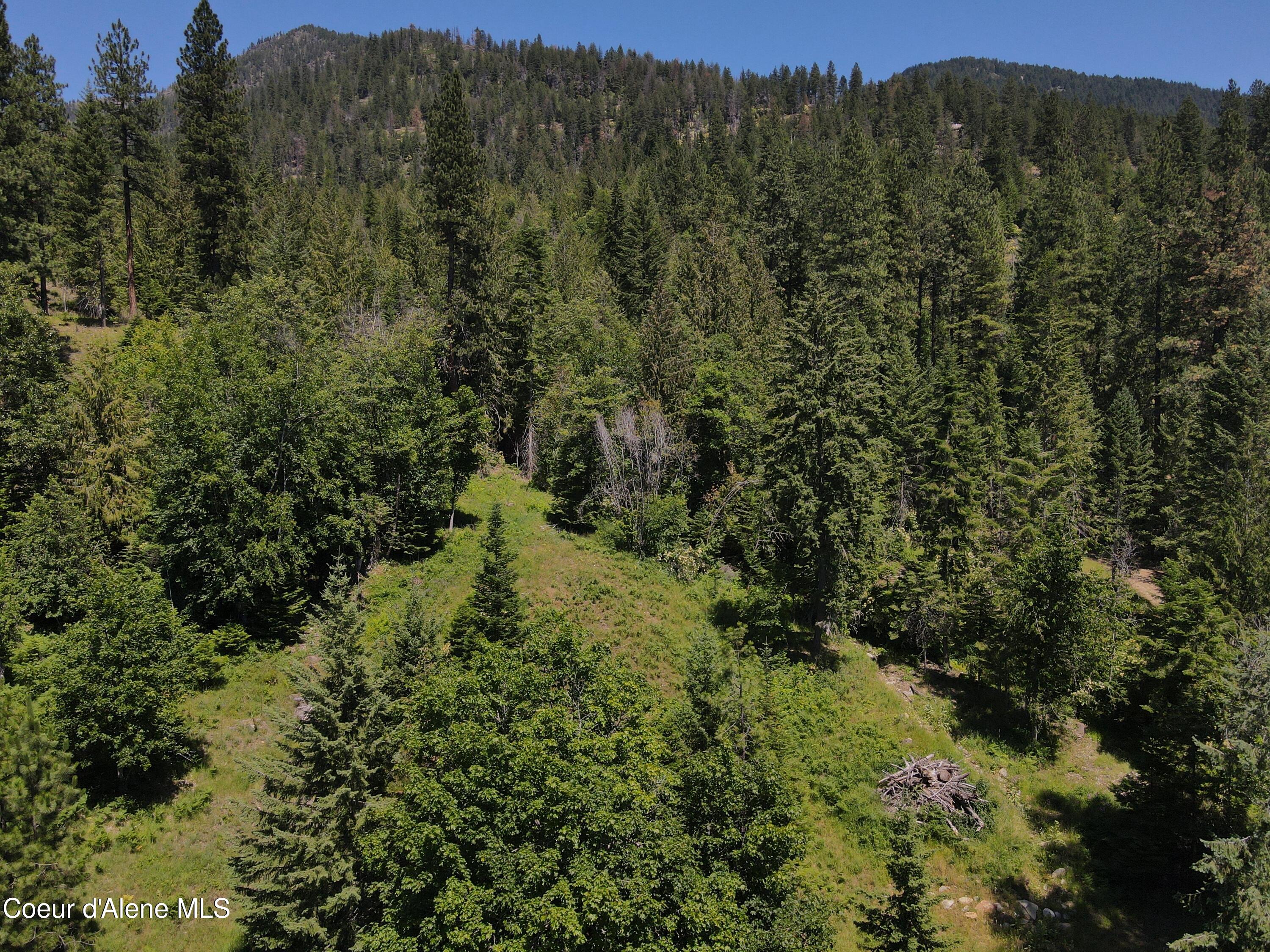 NNA Enchanted Forest Trail, Hope, Idaho image 19