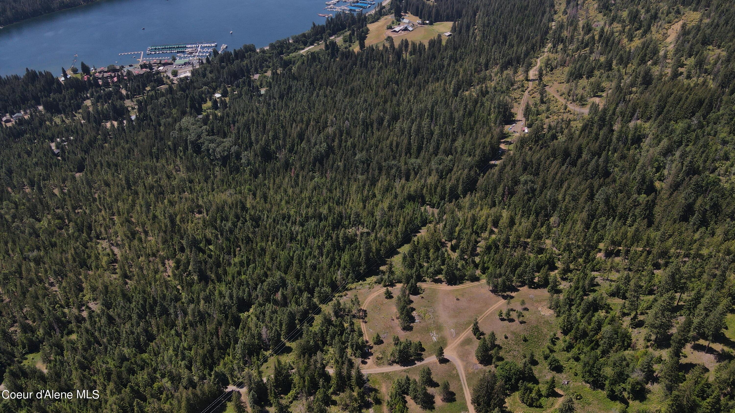 NNA Enchanted Forest Trail, Hope, Idaho image 31